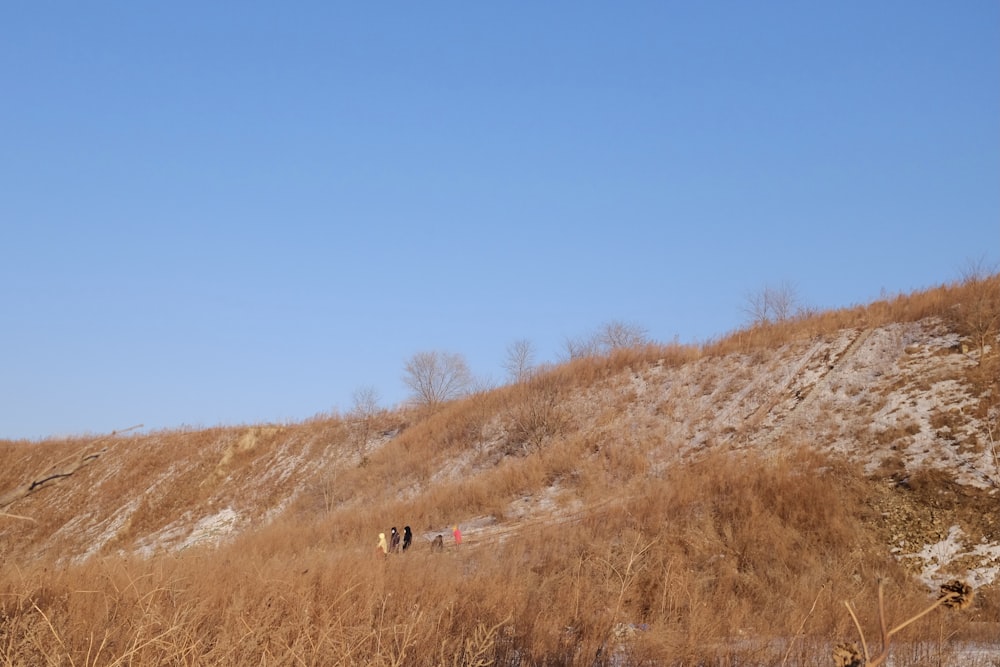 person walking on brown grass field during daytime