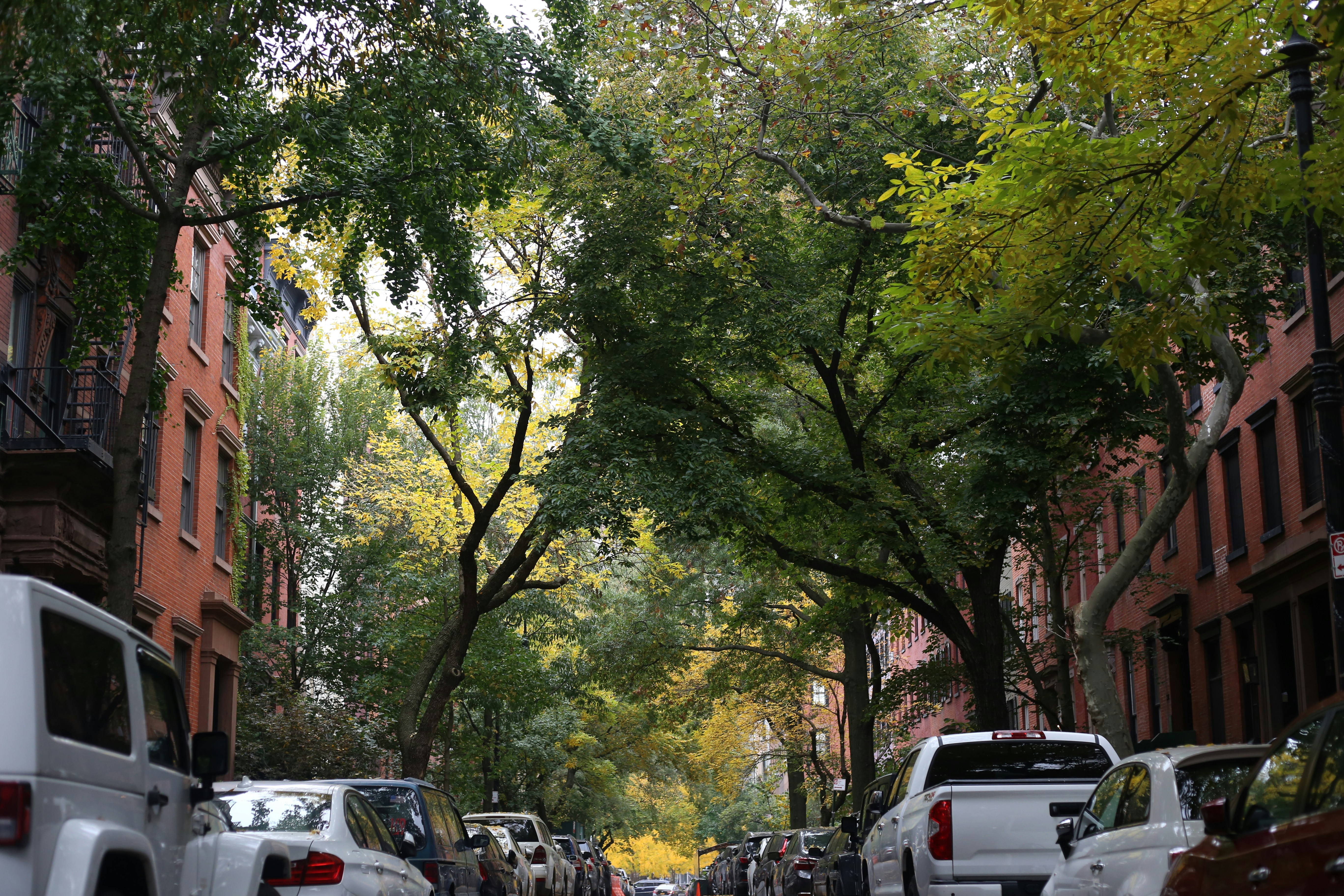 Photo by sydneyangove