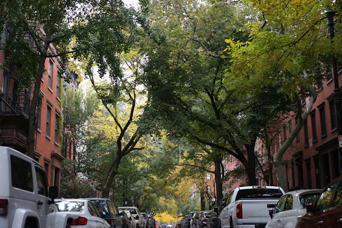 Best Airbnb Neighborhoods