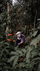 Team conducting a field survey in a forest.
