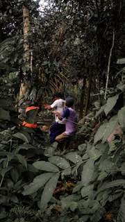 Fieldwork scene with experts collecting soil samples near a forest