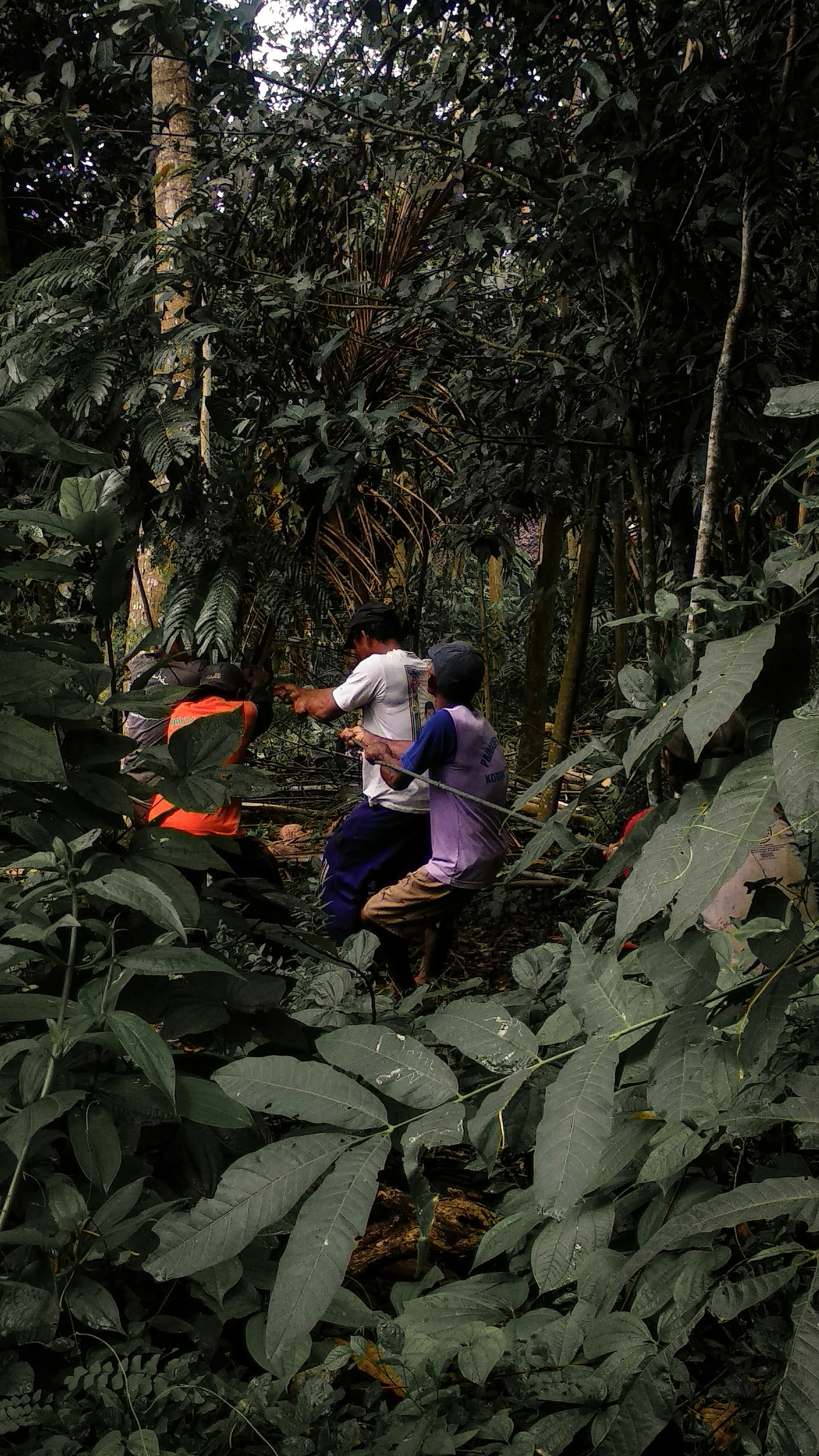 A dedicated American search team combing through a dense forest, focused and determined under a cloudy sky.