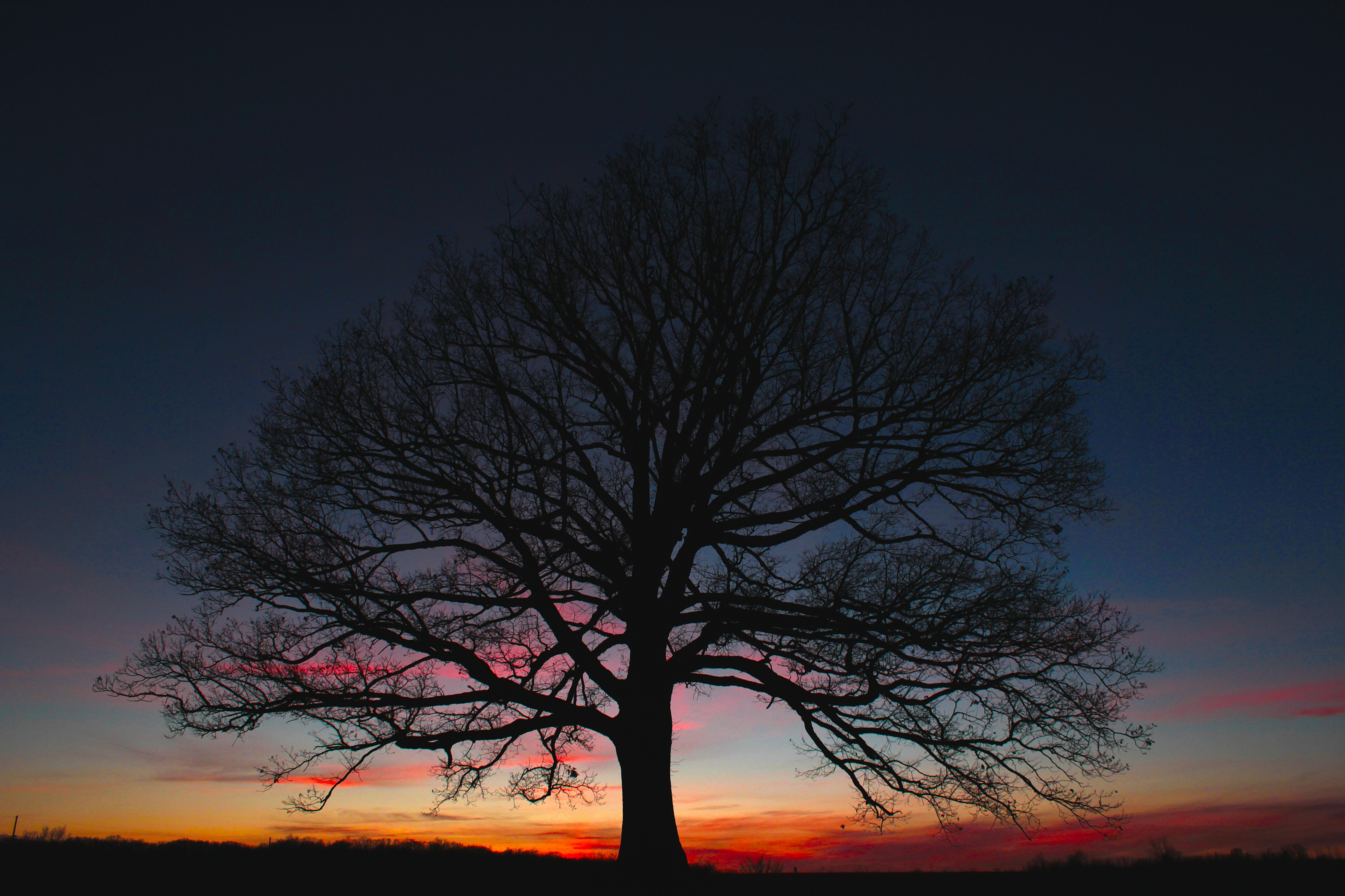 Photo by mrgreatheart