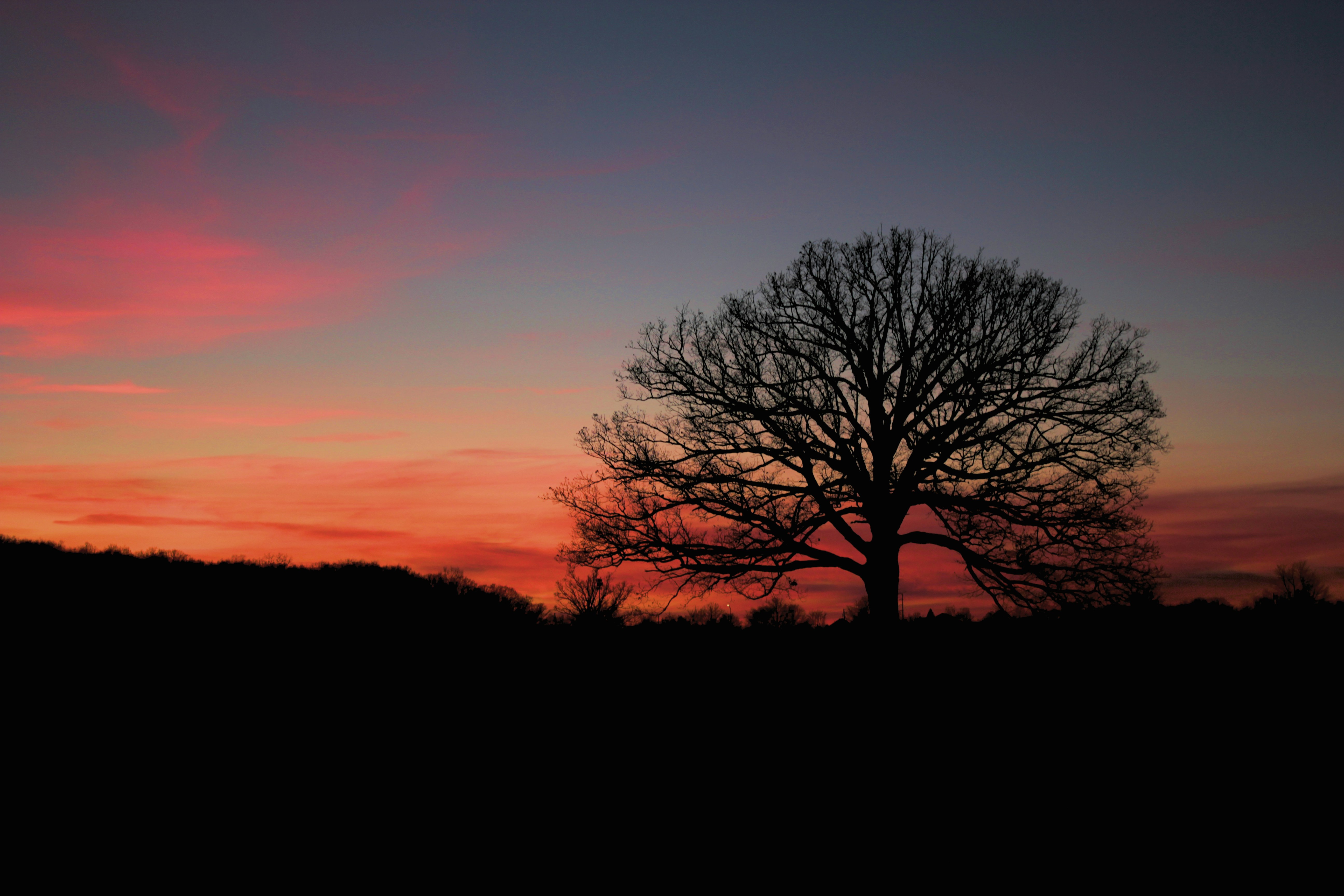 Photo by mrgreatheart