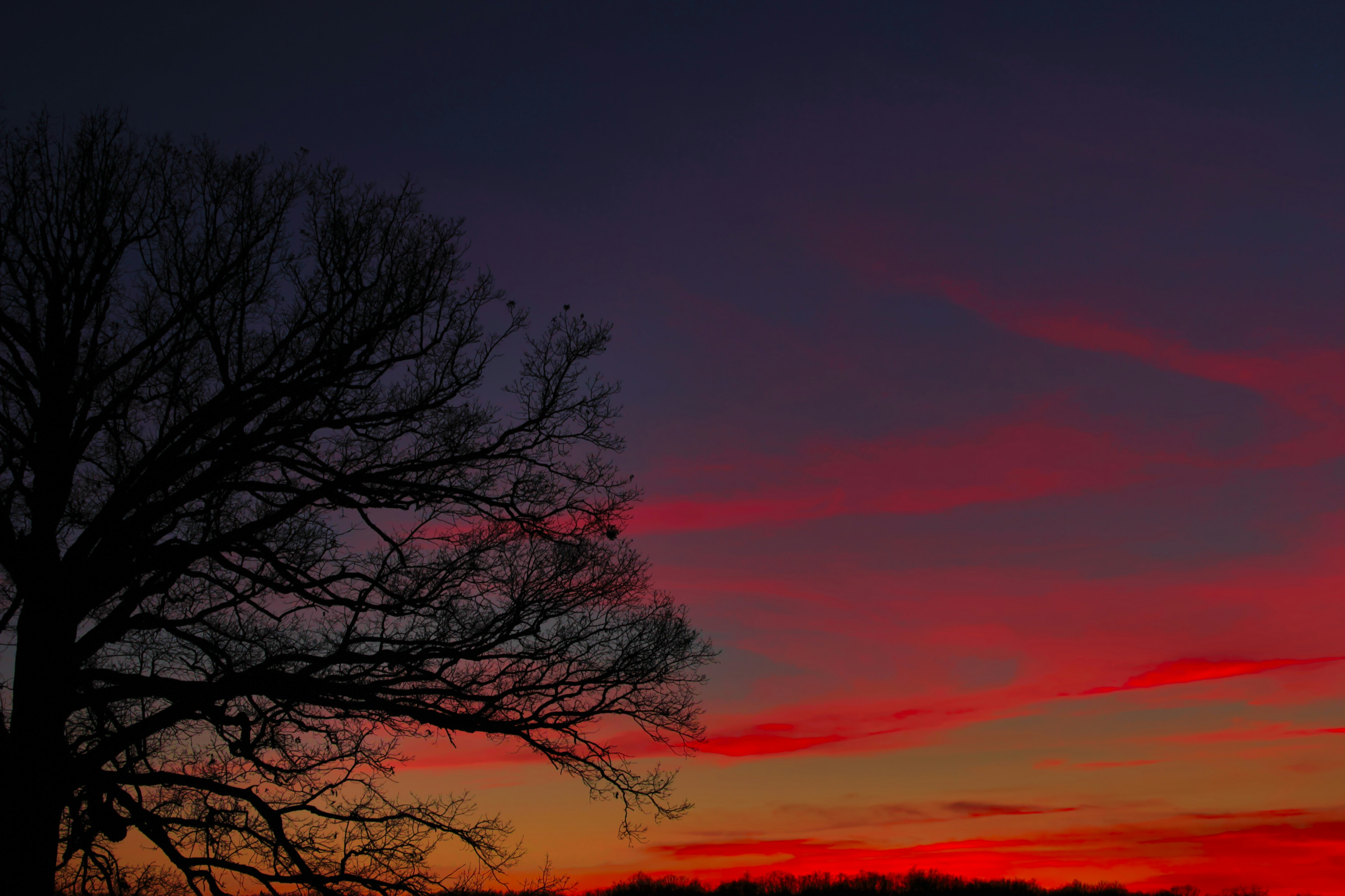 Photo by mrgreatheart