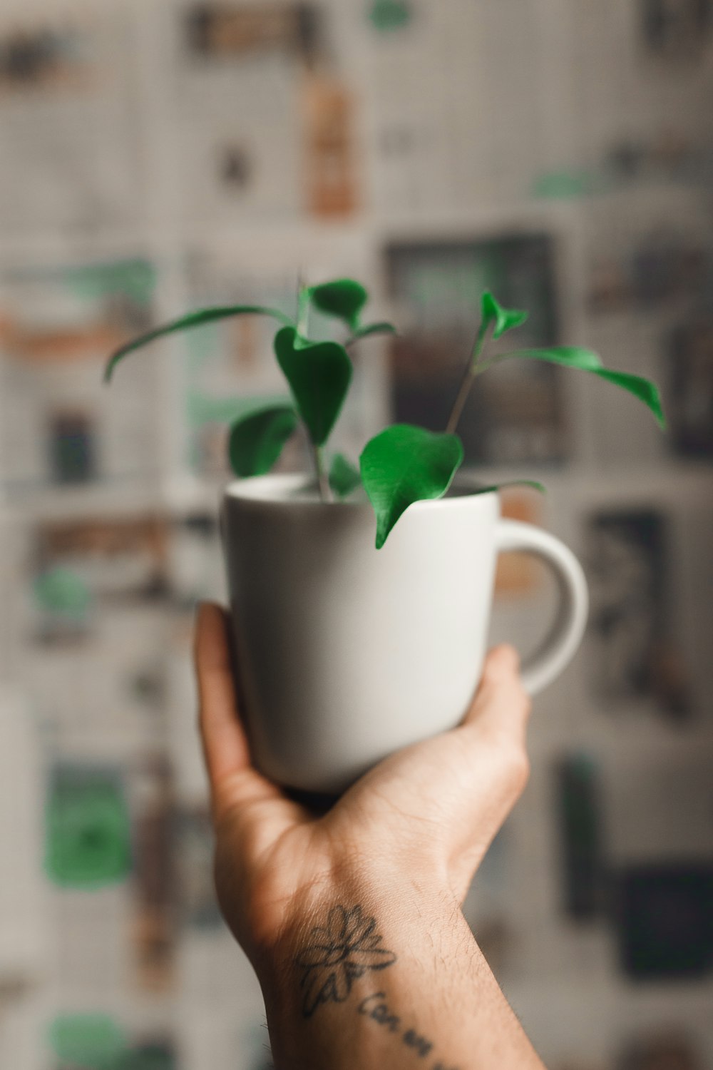 person holding white ceramic mug with green leaf