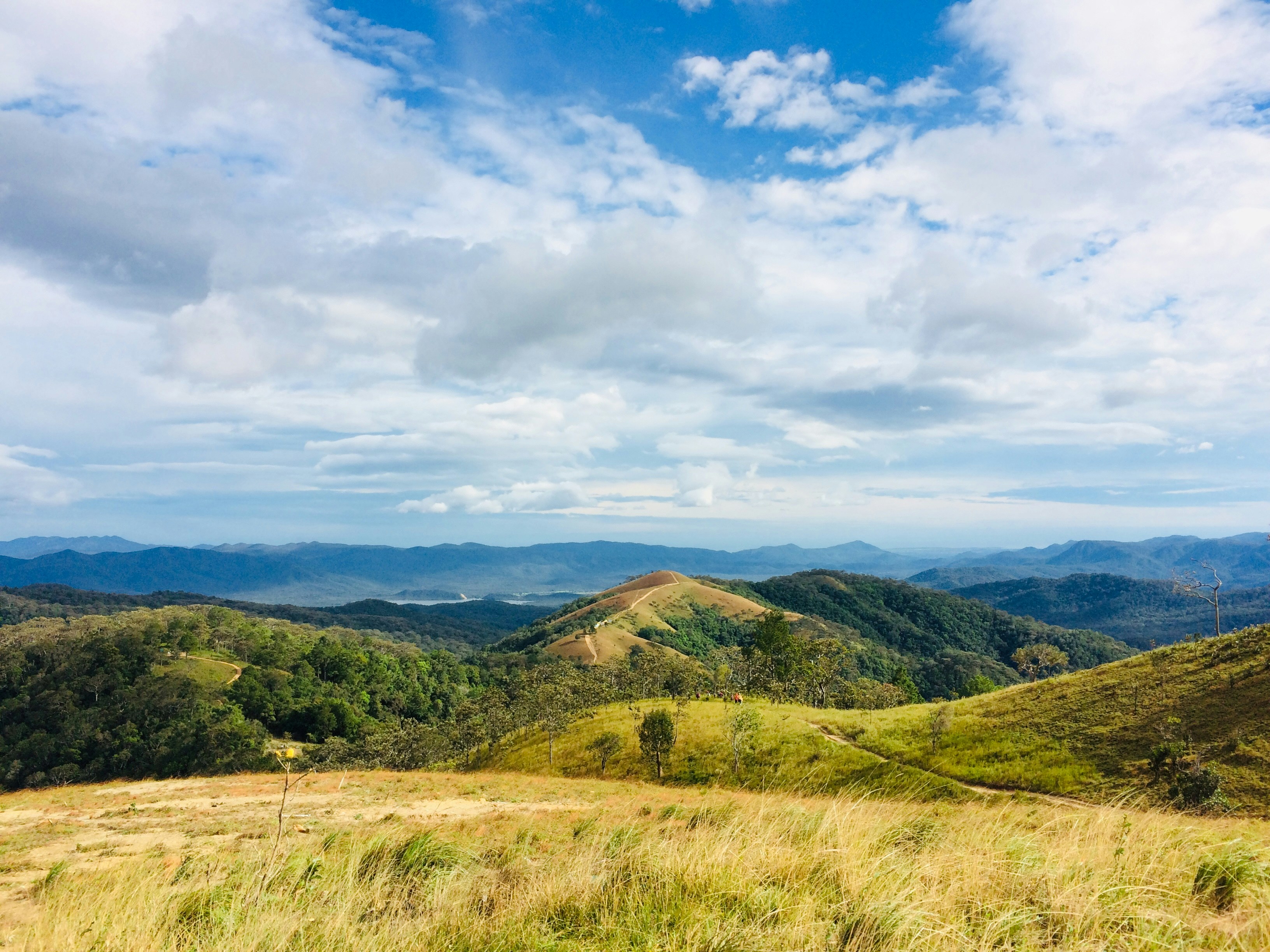 Photo by trantuannghia