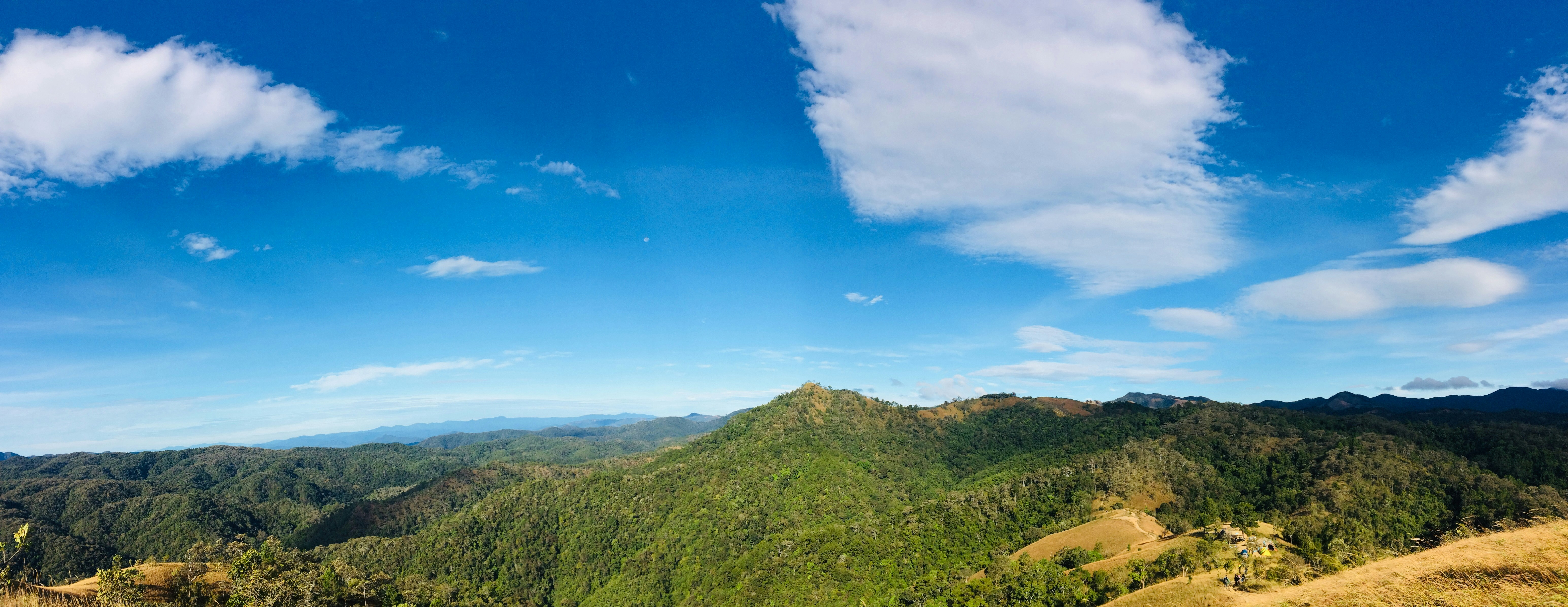 Photo by trantuannghia