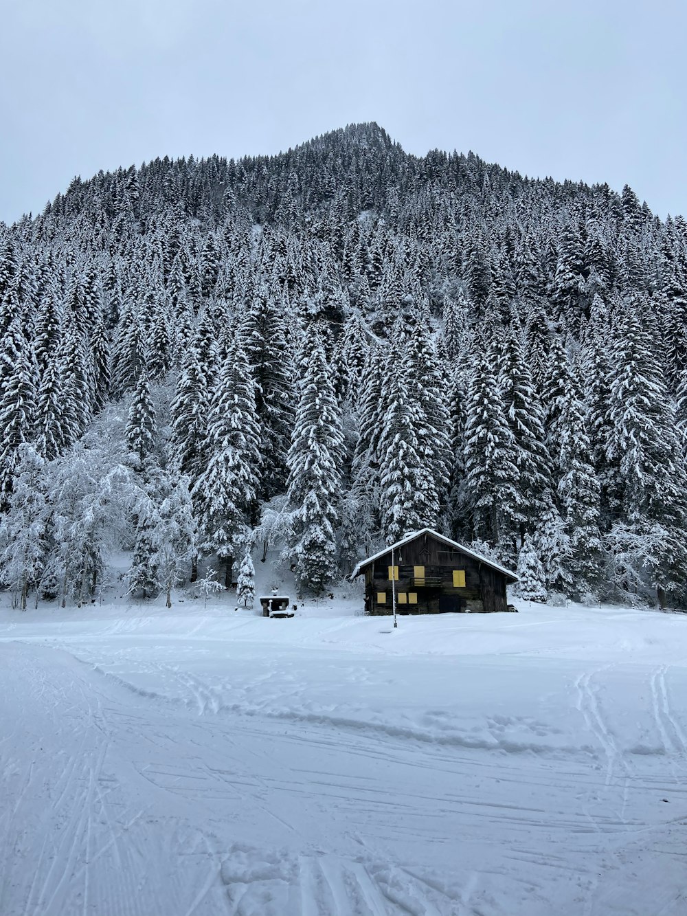 Braunes Holzhaus auf schneebedecktem Boden in der Nähe von Bäumen tagsüber