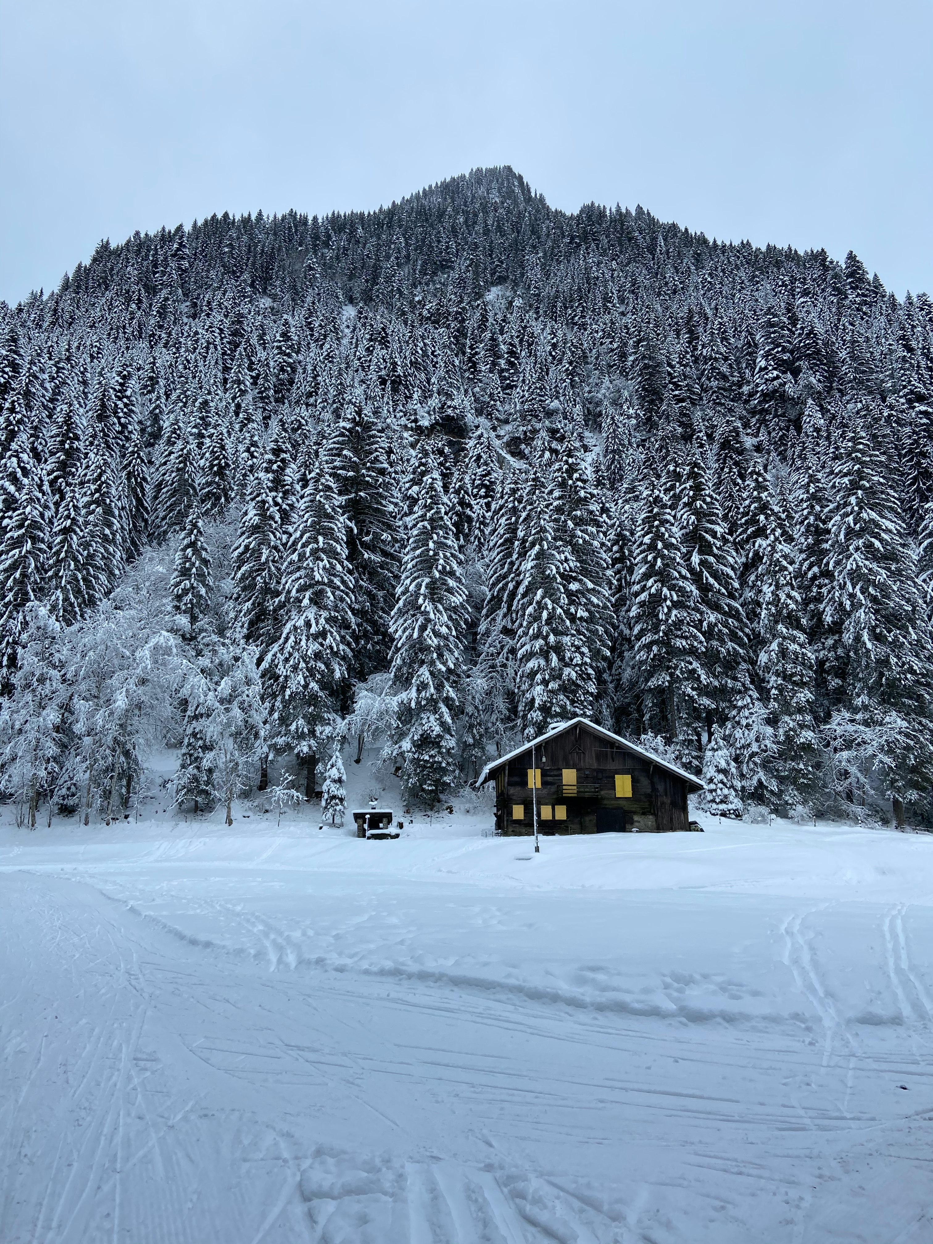brown wooden house on snow covered ground near trees during daytime