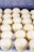 Rows of evenly spaced, small, light-colored dough balls arranged on a baking sheet. The surface appears smooth with a glossy finish, suggesting they are ready for baking.
