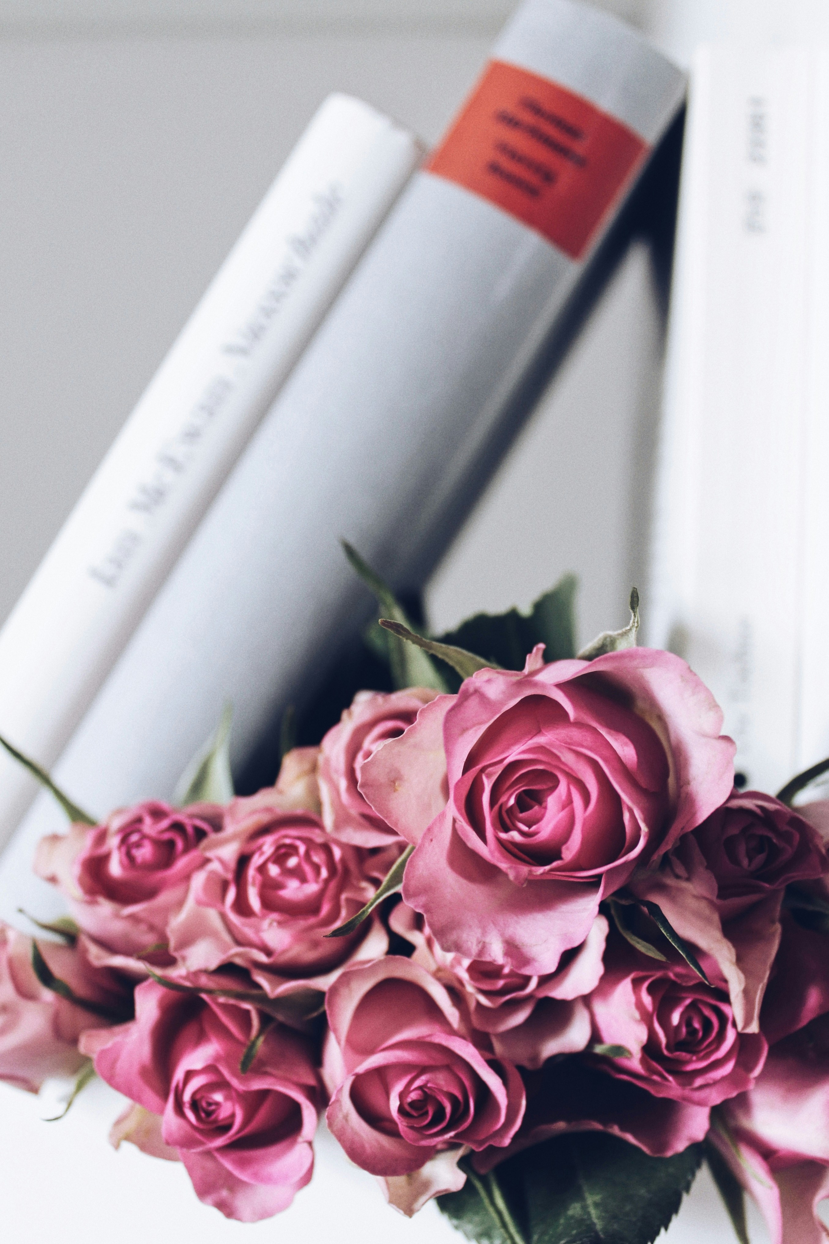 Photo by anna_meshkov