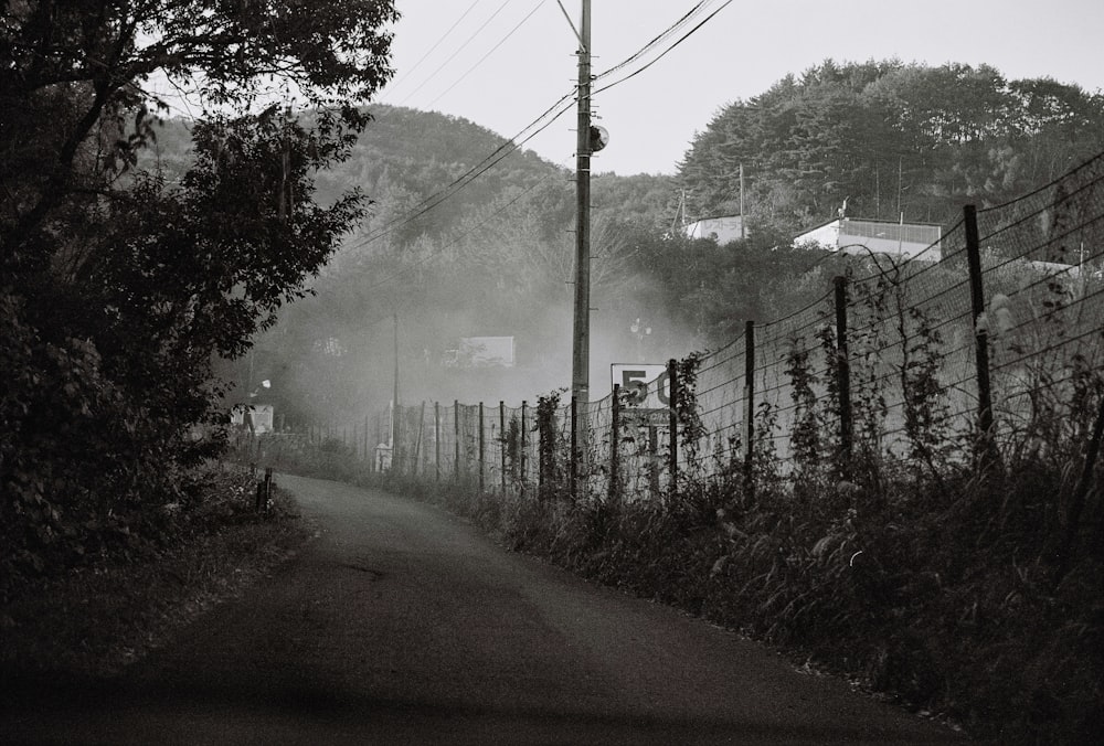 grayscale photo of trees and electric post