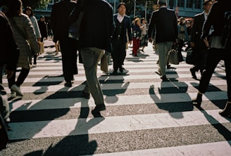 people walking on pedestrian lane during daytime