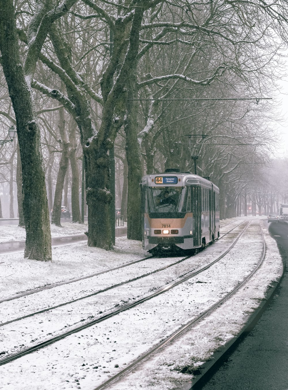 yellow and white train on rail tracks near bare trees during daytime