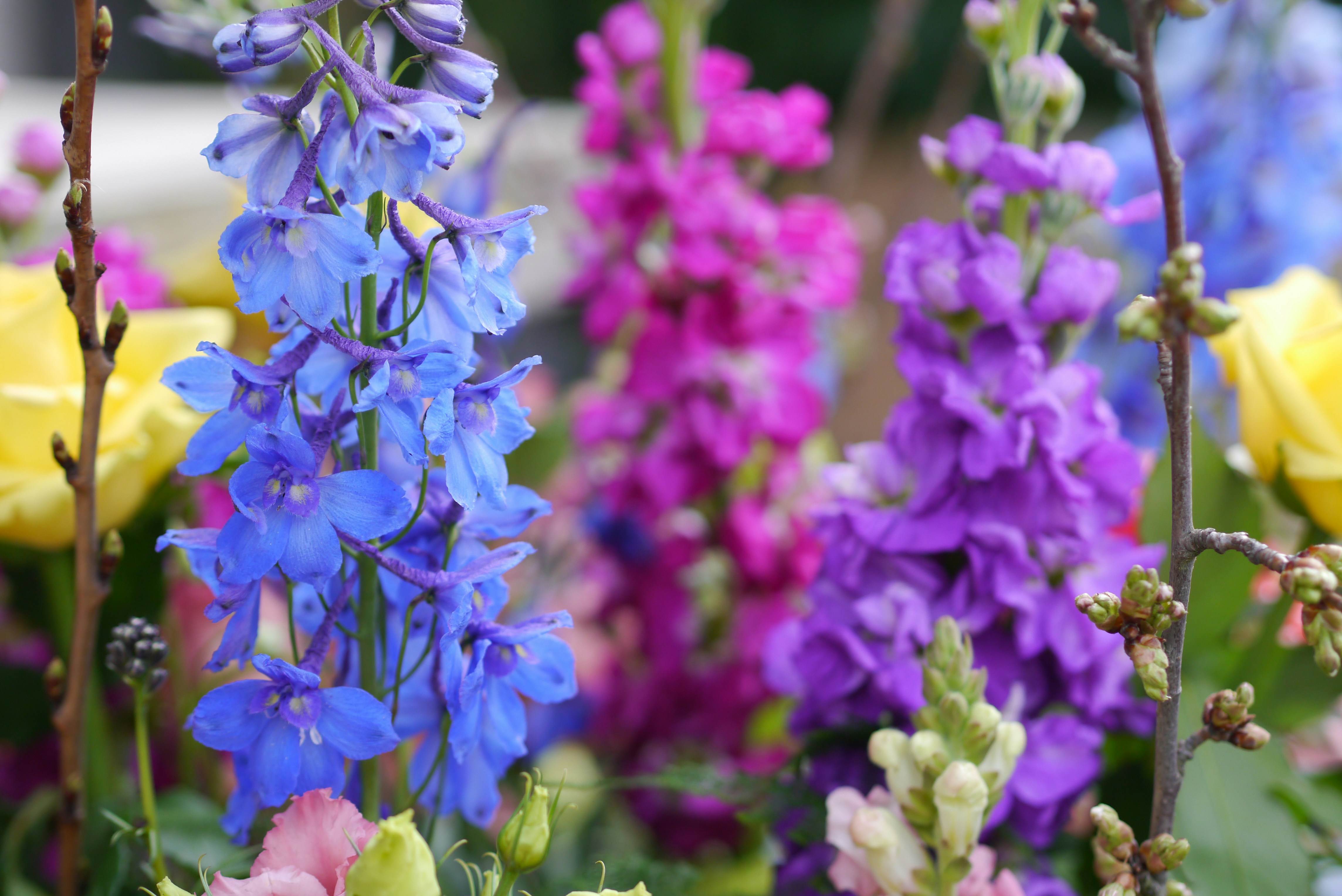 Romantic flower bouquet