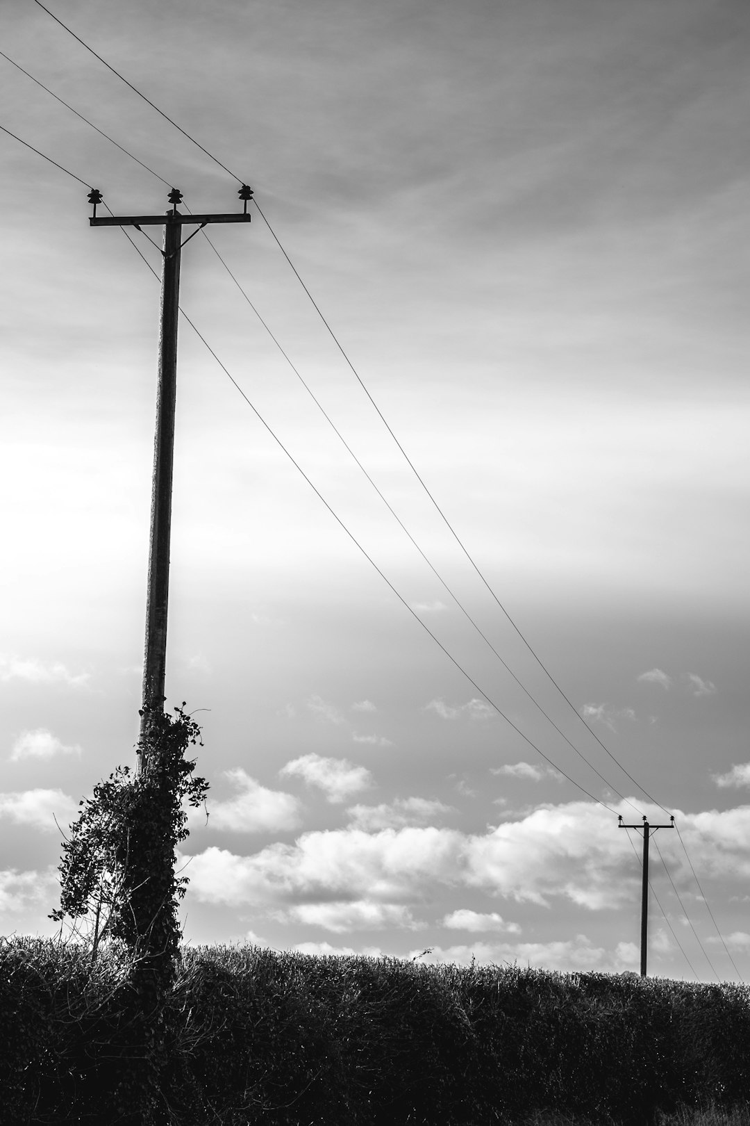 grayscale photo of electric post