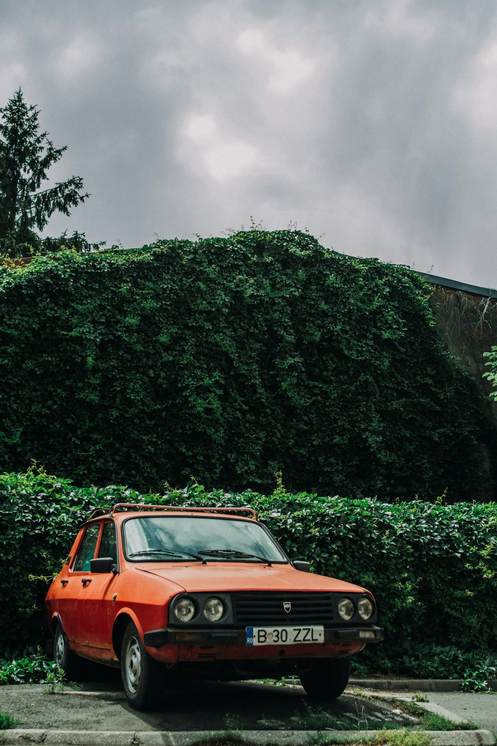 orange and black car on green grass field under gray clouds