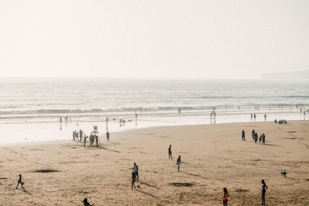 people on beach during daytime