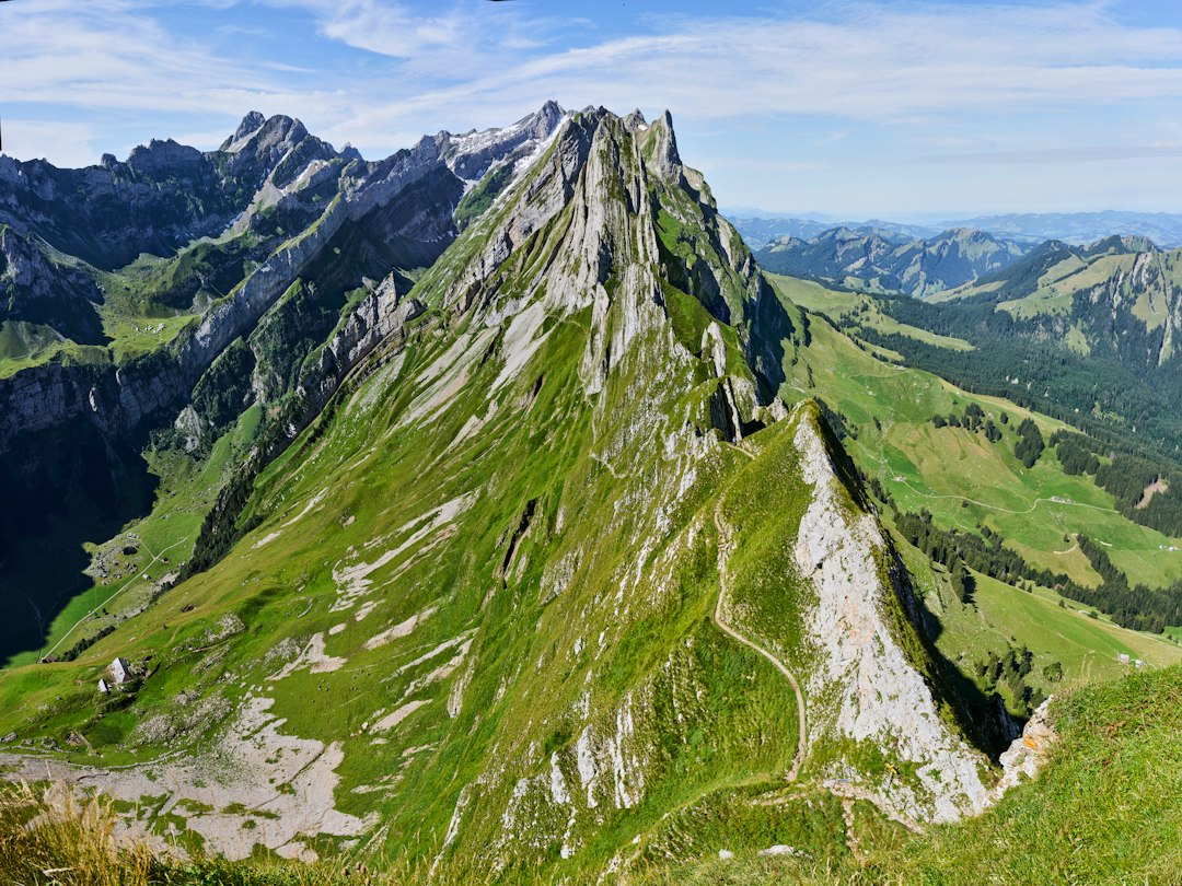 Steckenberg