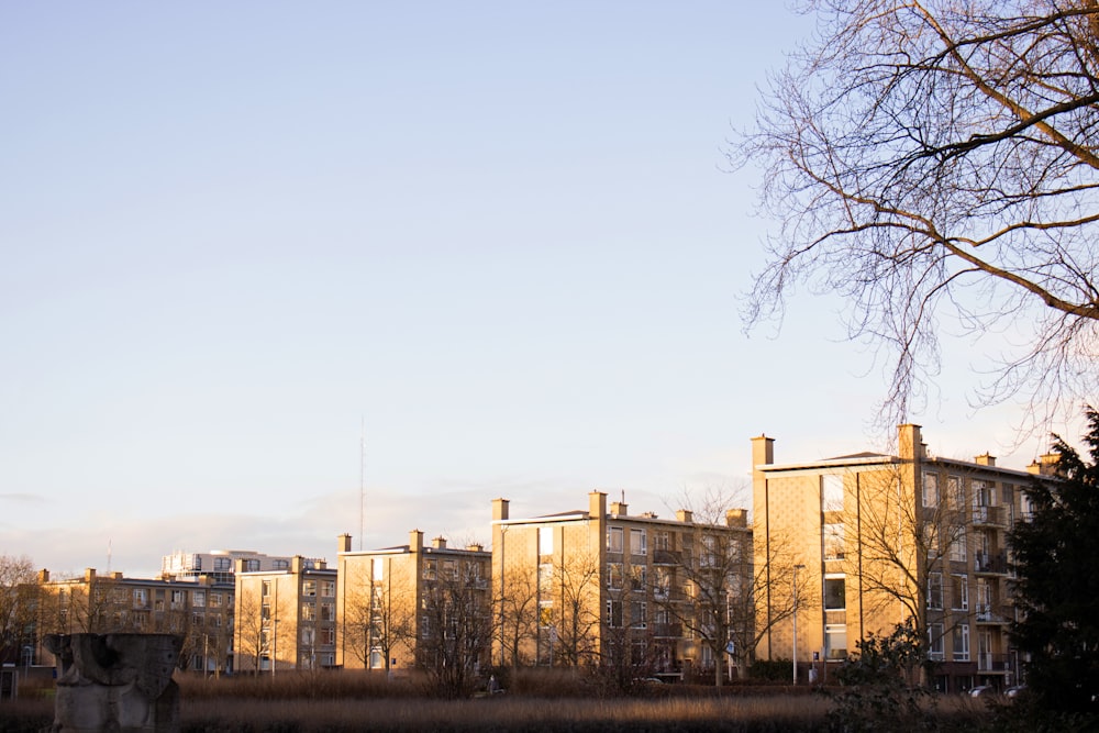 brown concrete building near bare trees during daytime