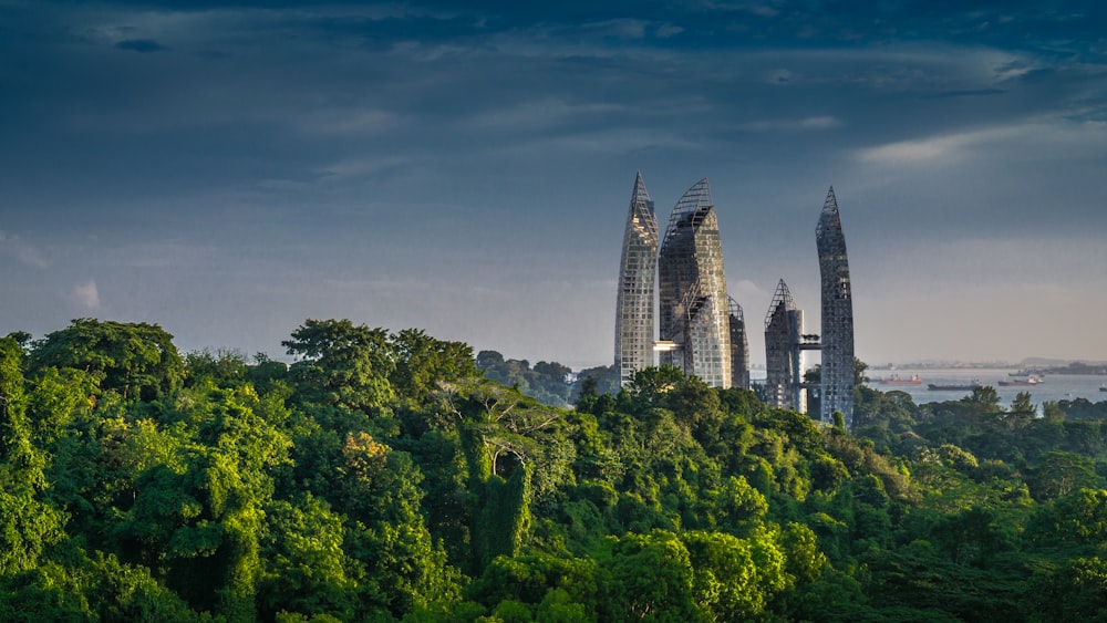 green trees near high rise building under blue sky during daytime