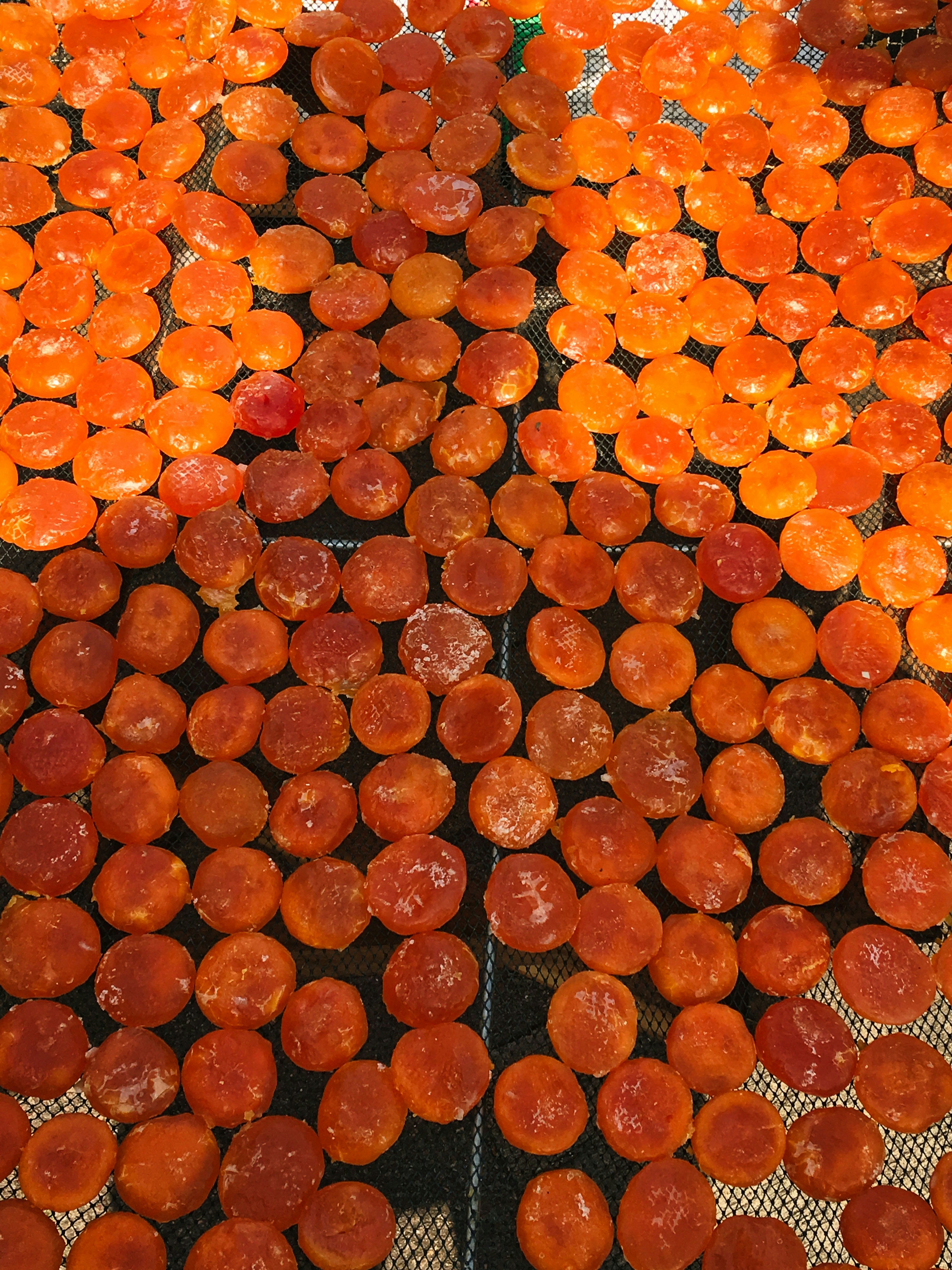 Photo by thomaskinto