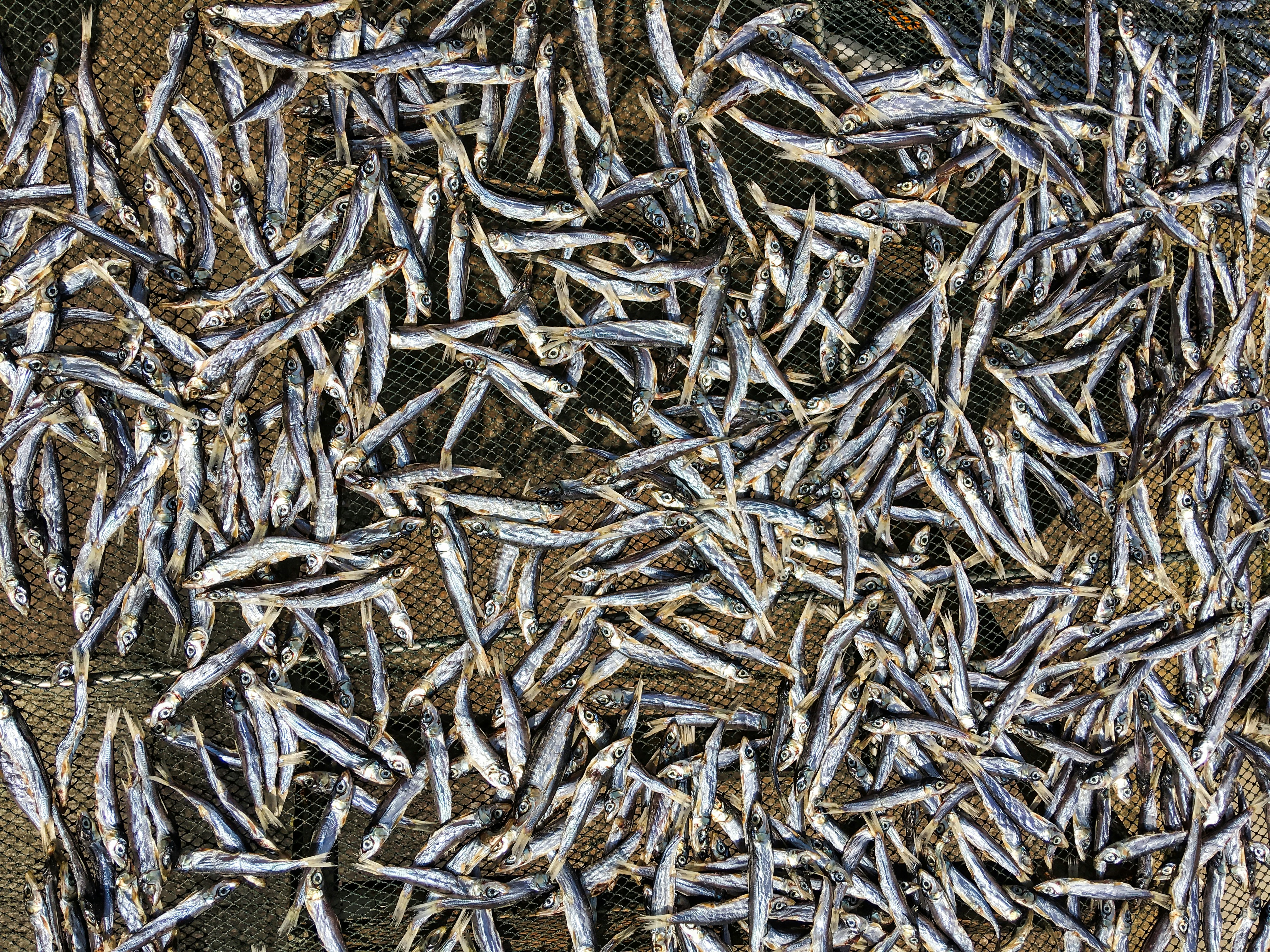 Photo by thomaskinto