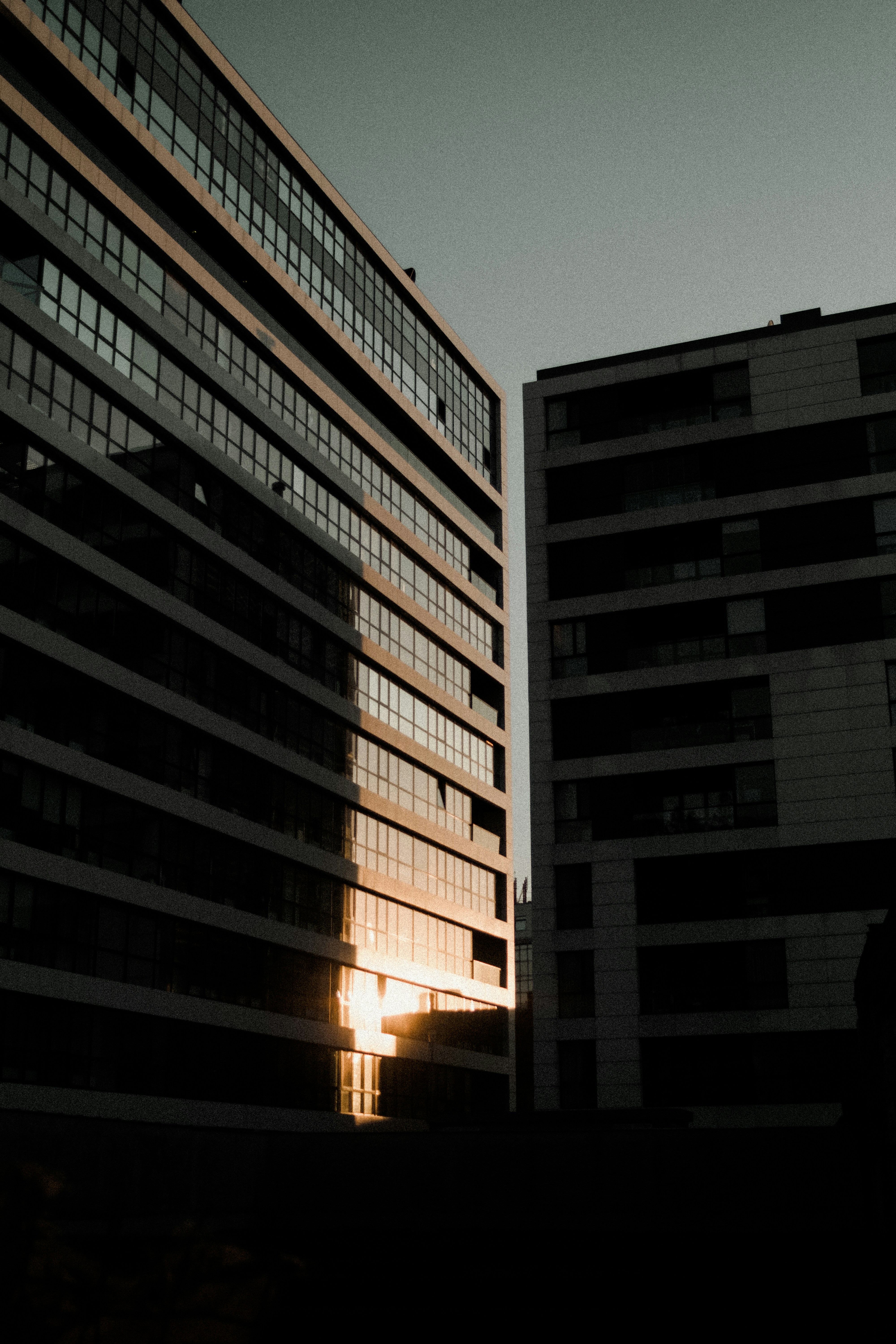 Photo by gnatiucdorel