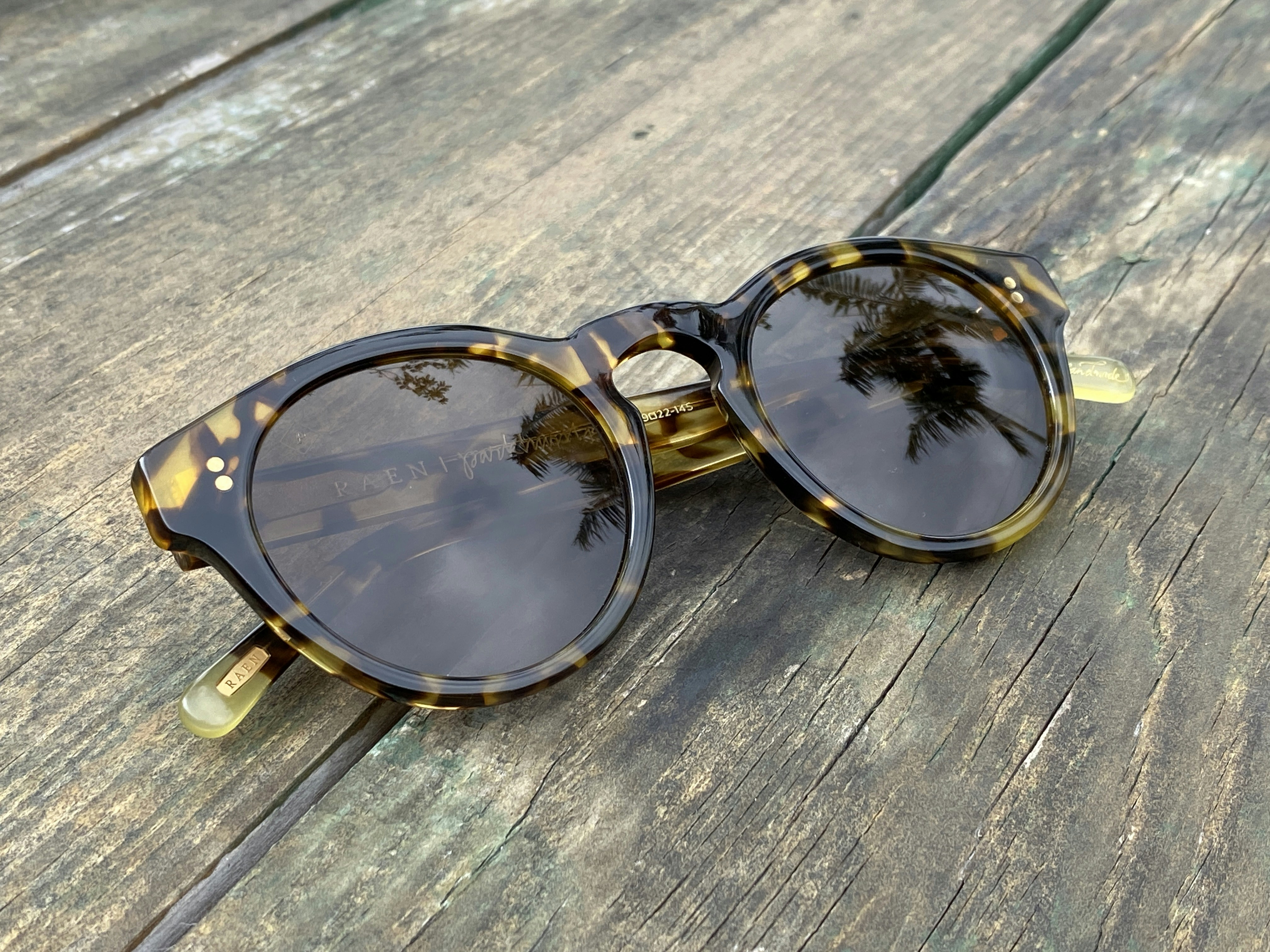 Bold Retro Sunglasses