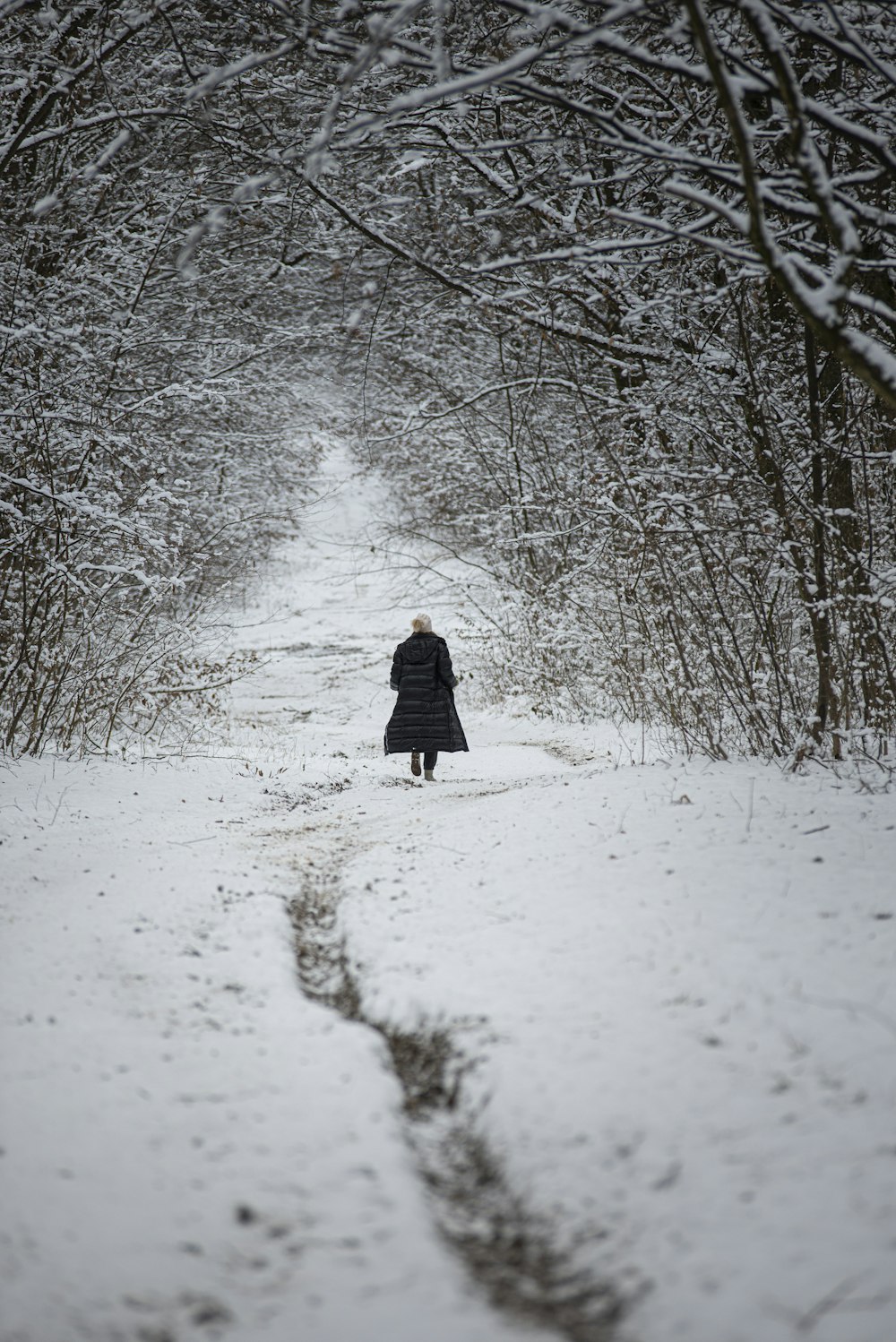 donna in cappotto nero che cammina sul sentiero coperto di neve tra gli alberi spogli durante il giorno