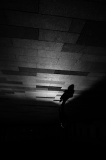 A dark, dramatic scene featuring a shadow cast on a tiled pavement. The distinct shadow is of a person walking, suggesting movement and mystery.