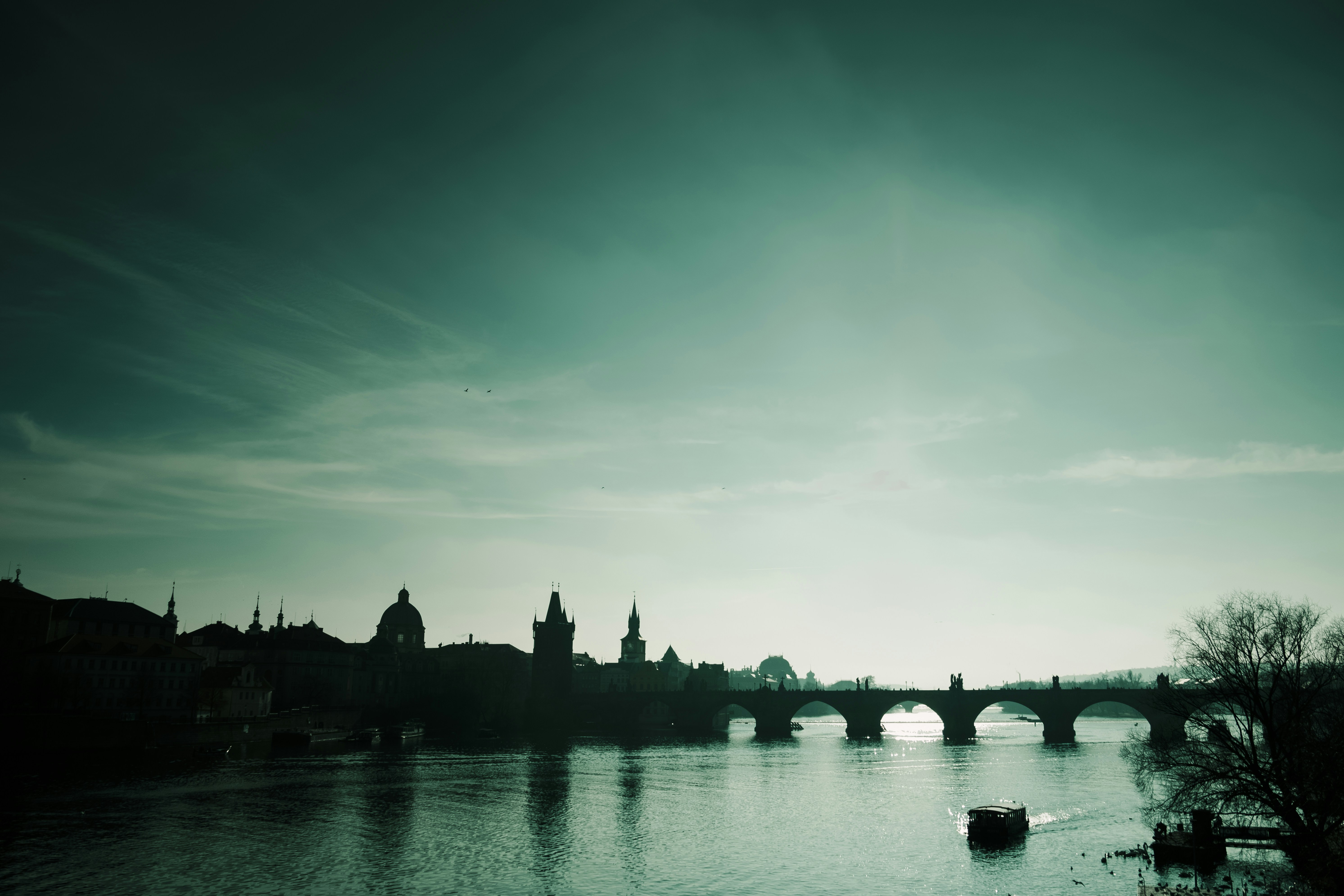 Photo by gnatiucdorel