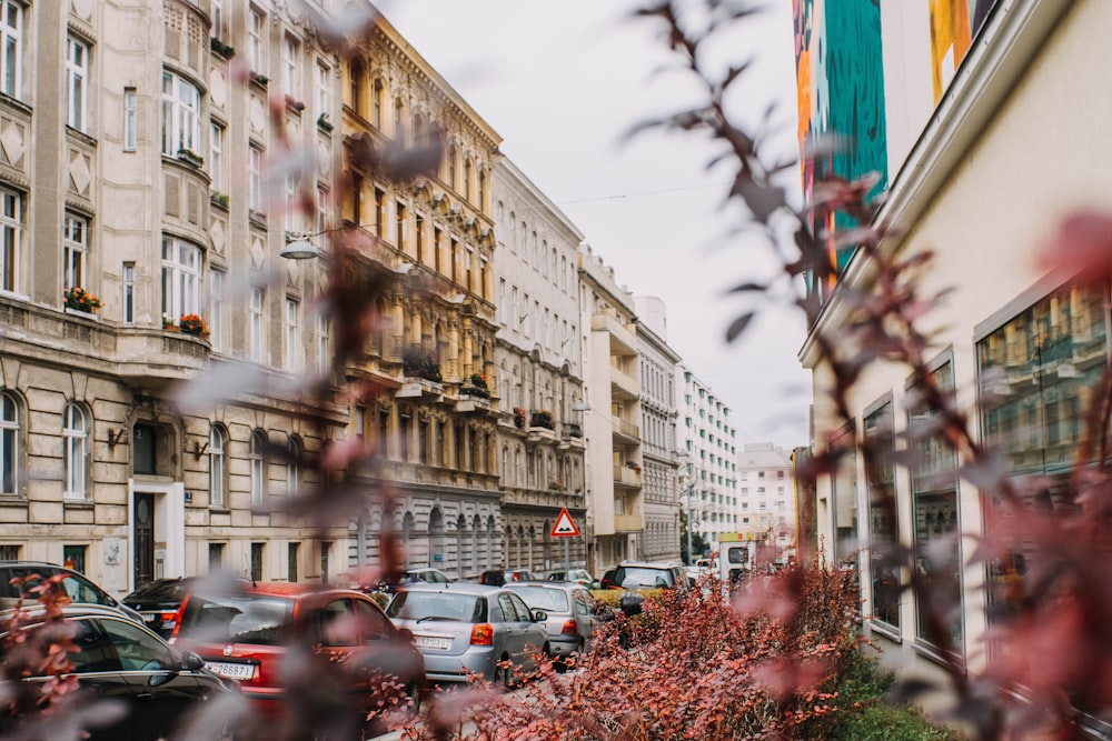 cars parked on side of the road near buildings during daytime