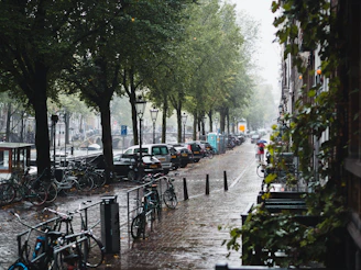 people walking on sidewalk with bicycle parked on sidewalk during daytime