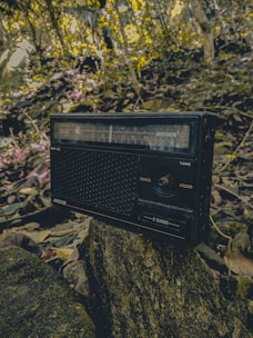 black and gray radio on black and white rock