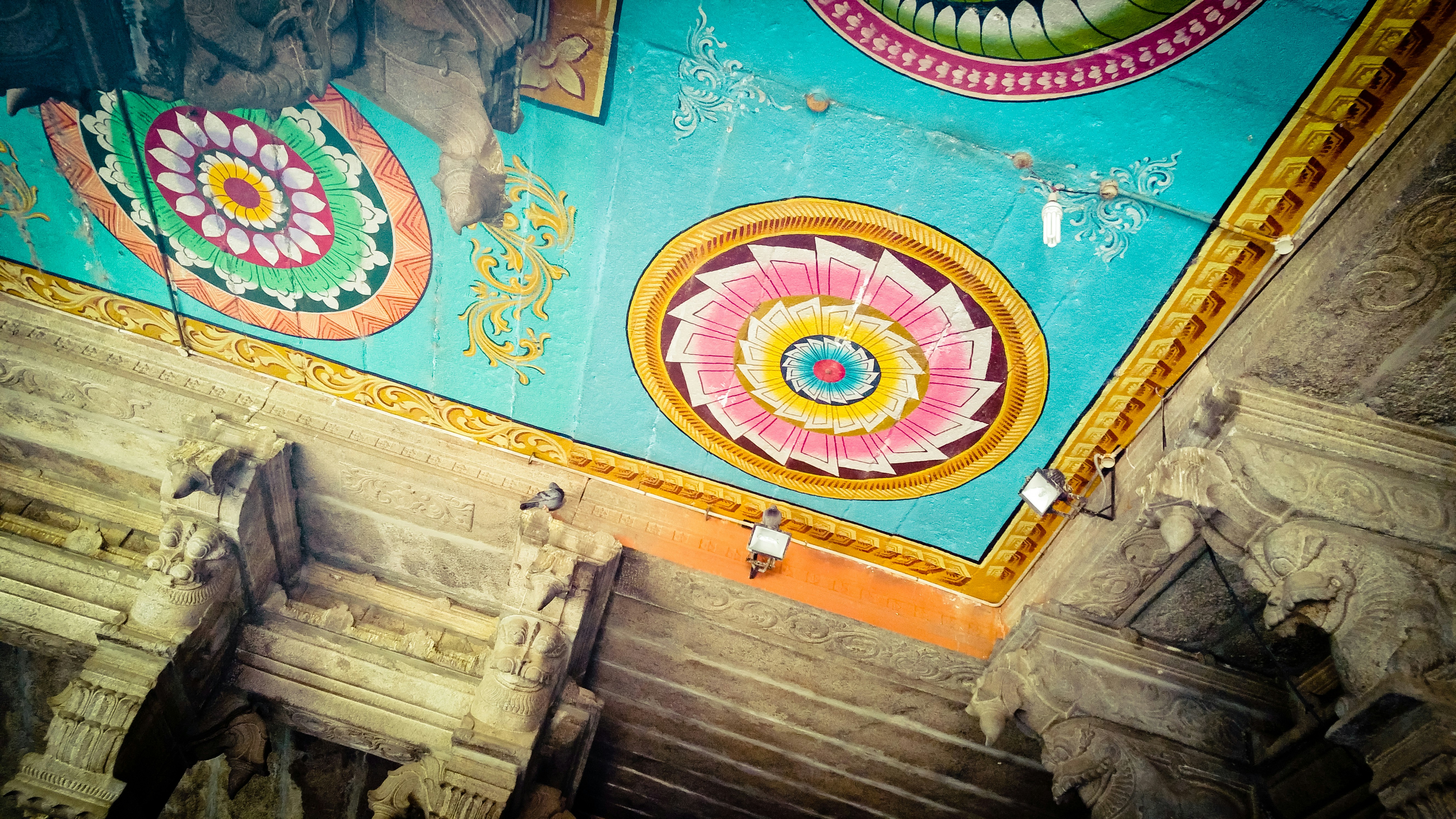 Photo by raimondklavins