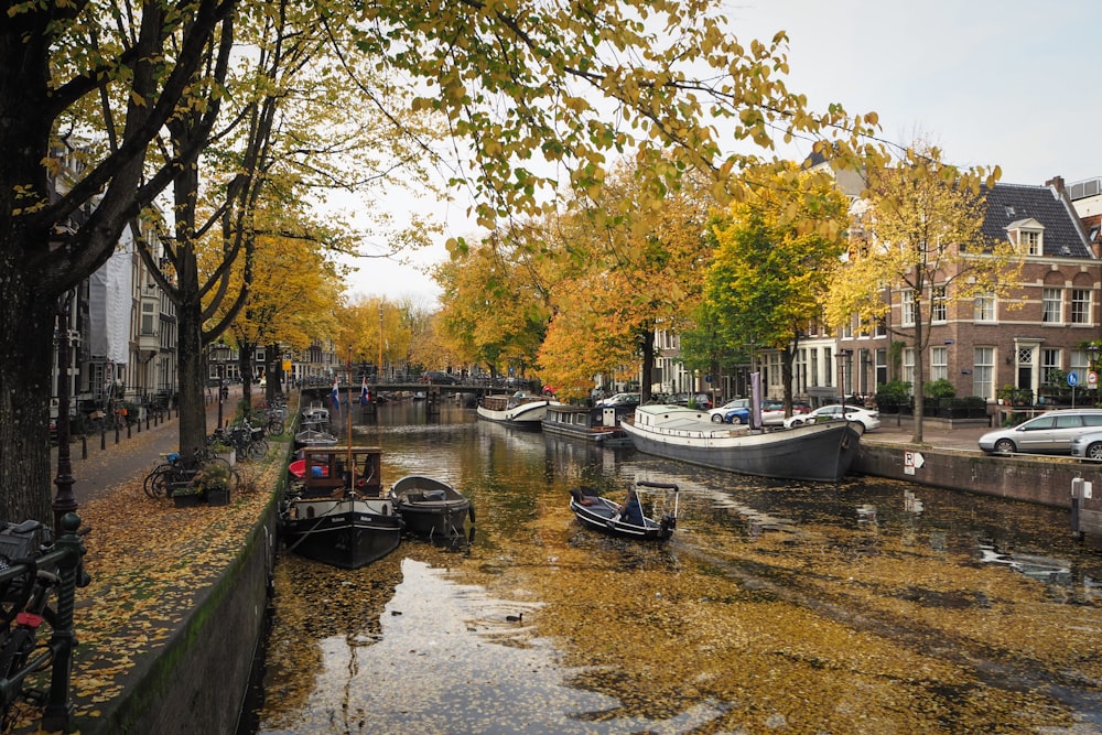 white boat on river near trees during daytime