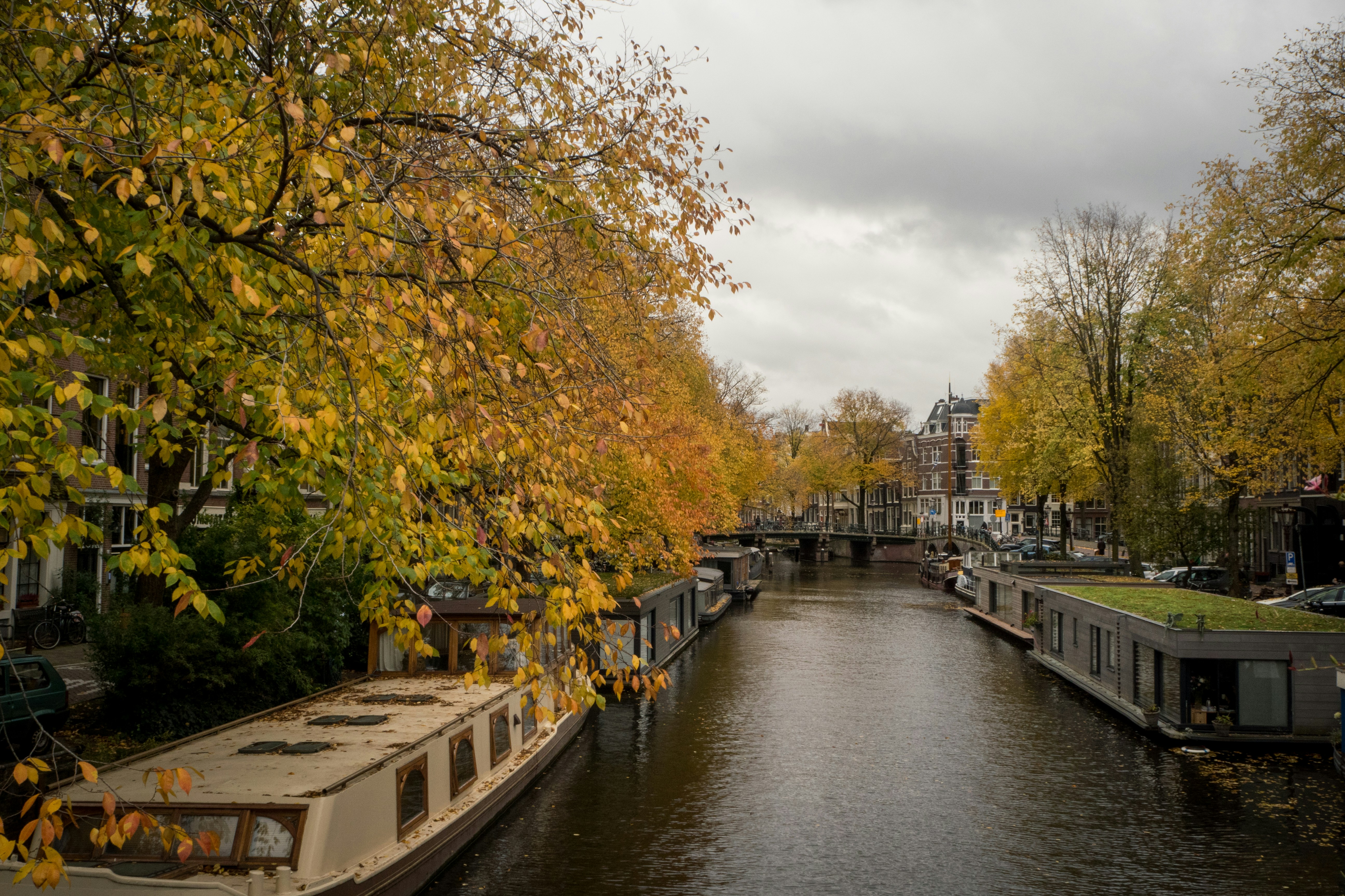 Photo by amsterdamian