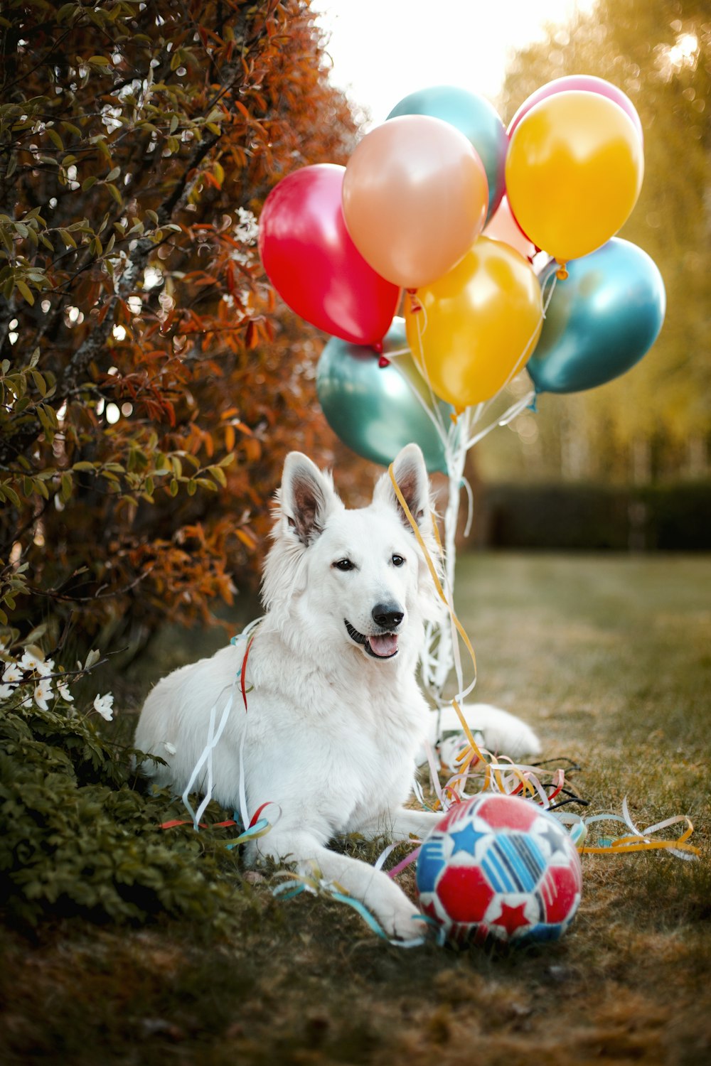 white short coated dog sitting on brown dried leaves