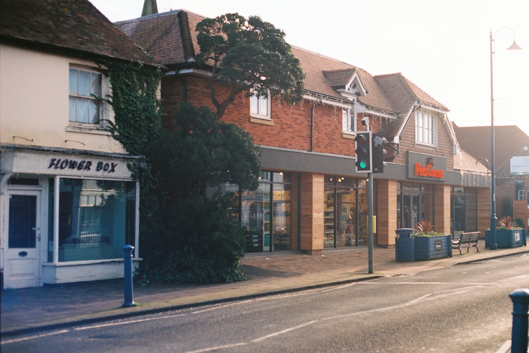 brown and white concrete building beside road during daytime