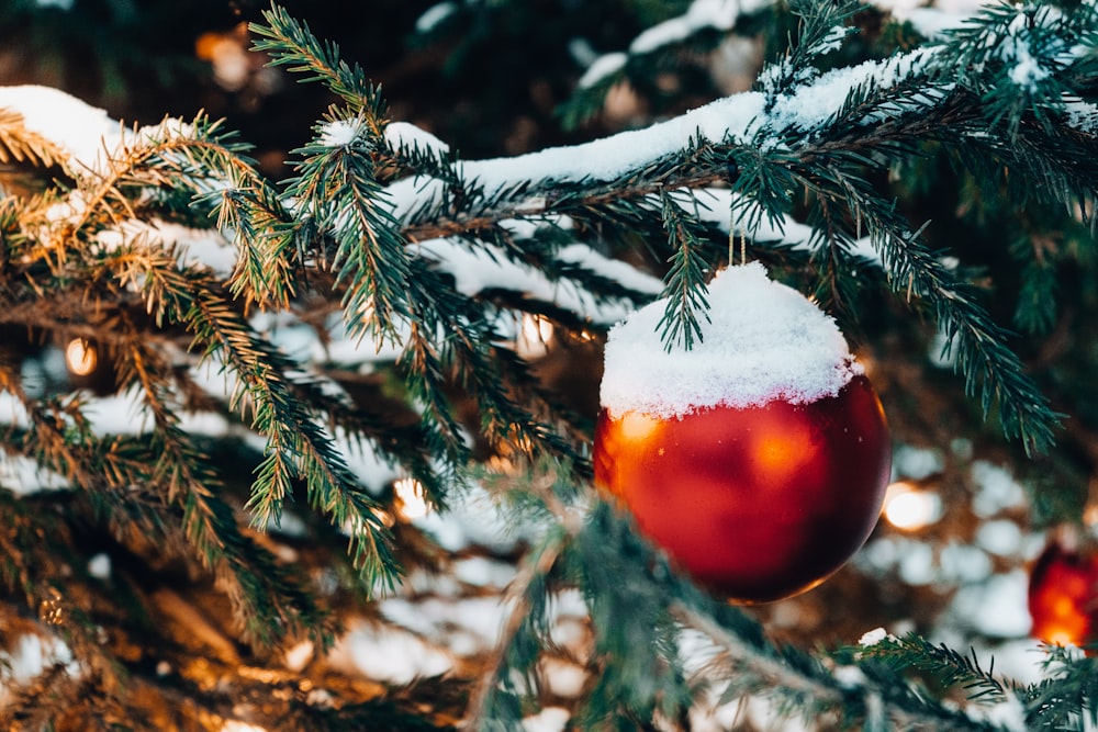 red and brown christmas bauble on green pine tree