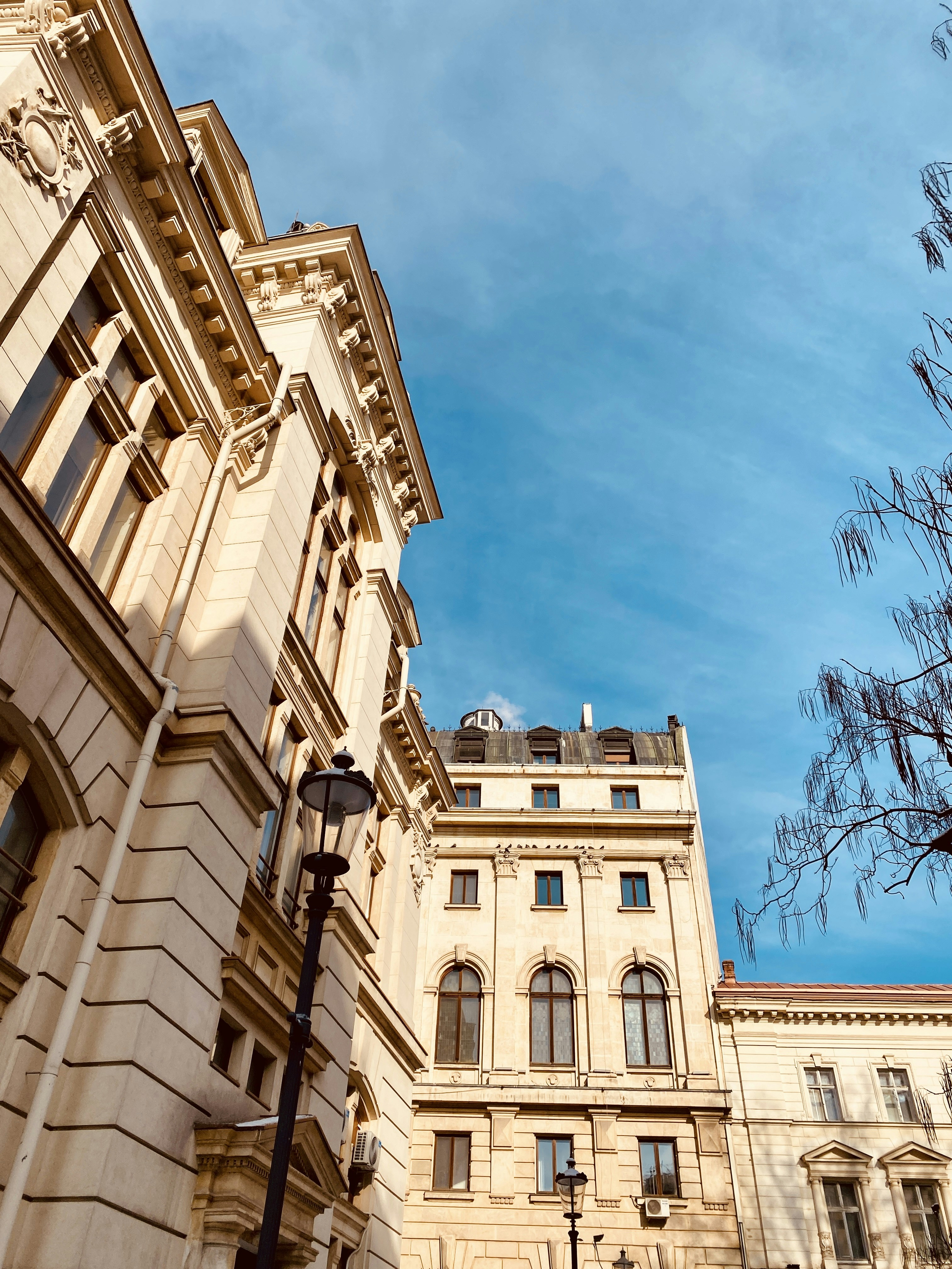 Photo by sarurobert1