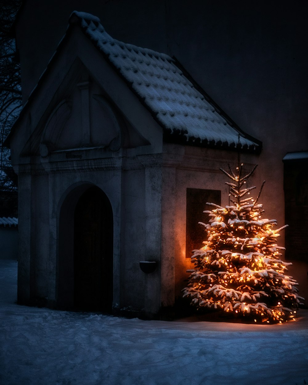 brown tree in front of brown concrete house