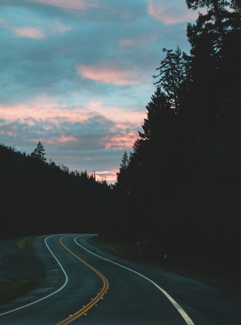 gray asphalt road between trees during sunset