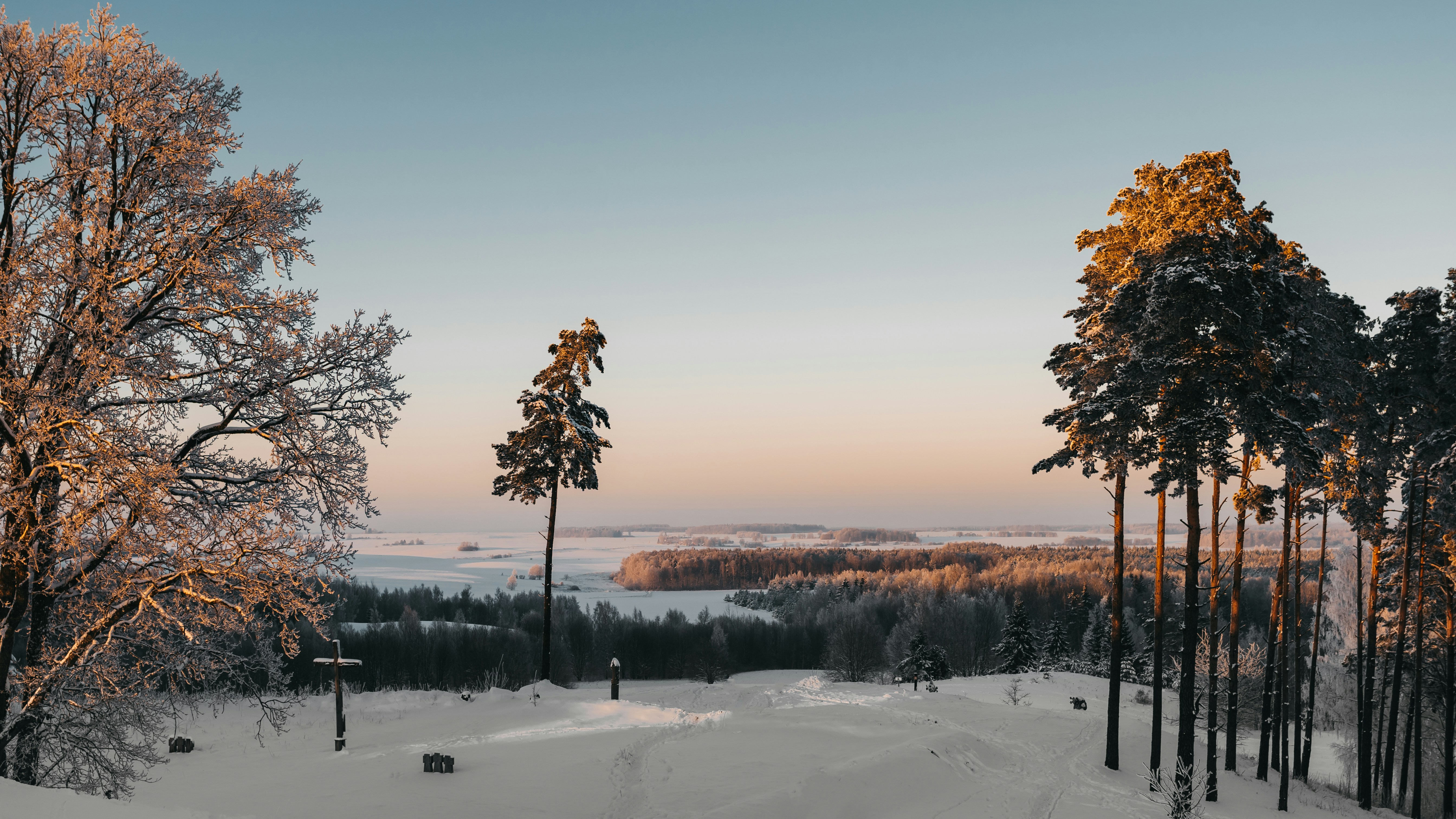 Green trees on snow covered ground during daytime photo – Free Human ...