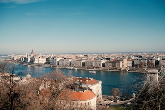 aerial view of city buildings near body of water during daytime