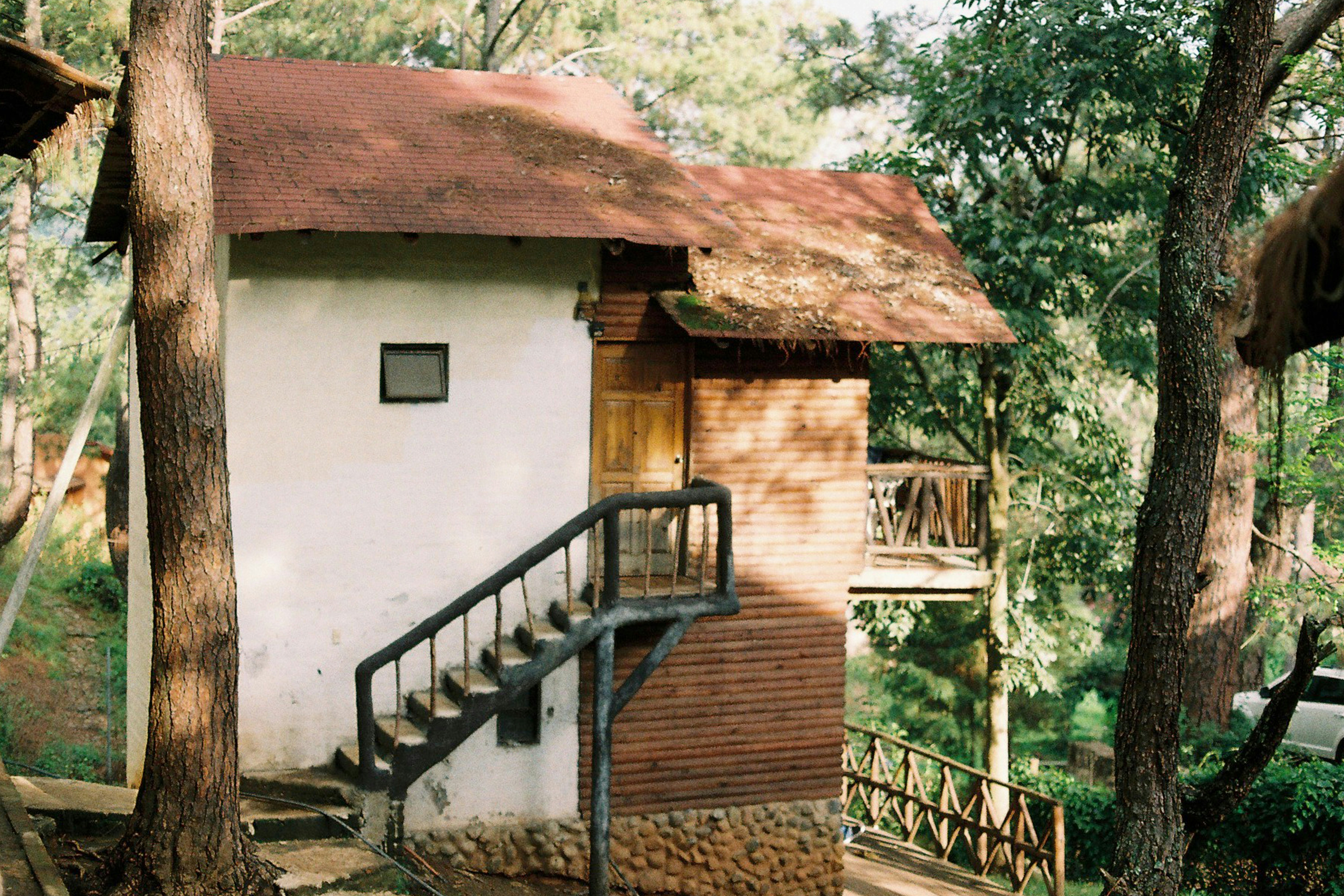 Photo by brunocervera