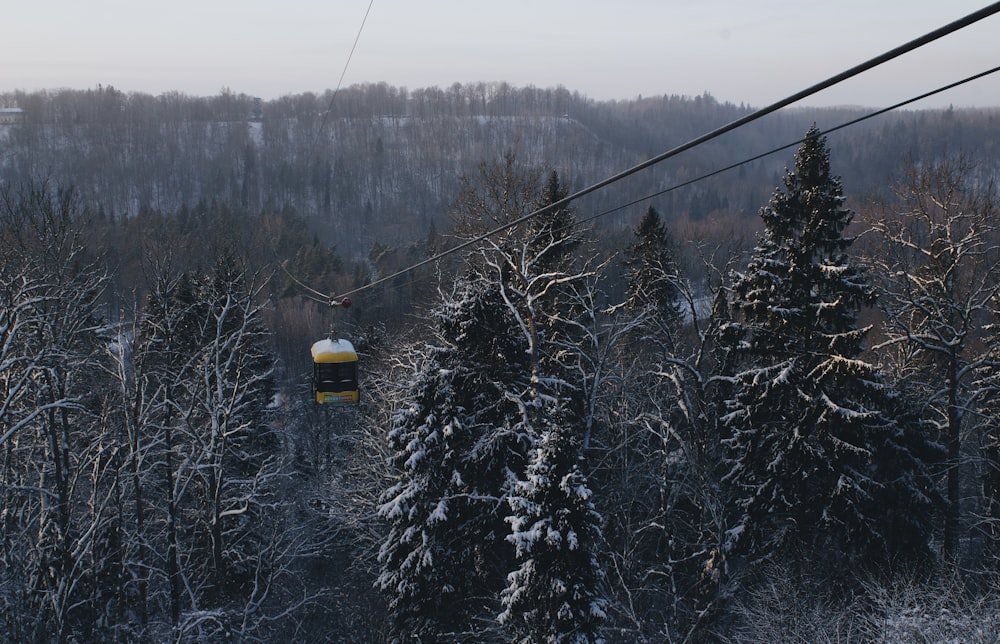 Teleférico amarillo y negro en árboles cubiertos de nieve durante el día