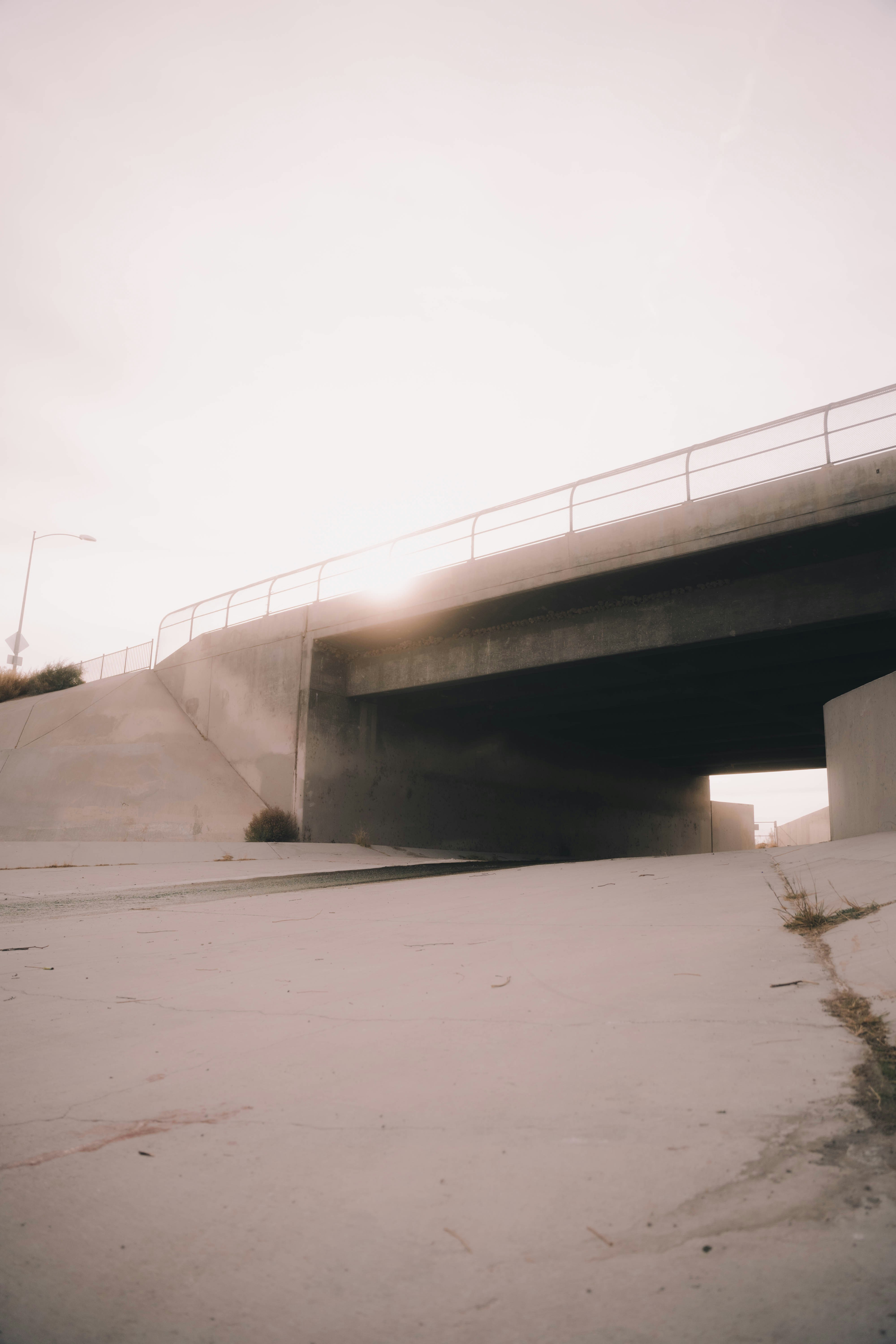 Photo by matthewpablico